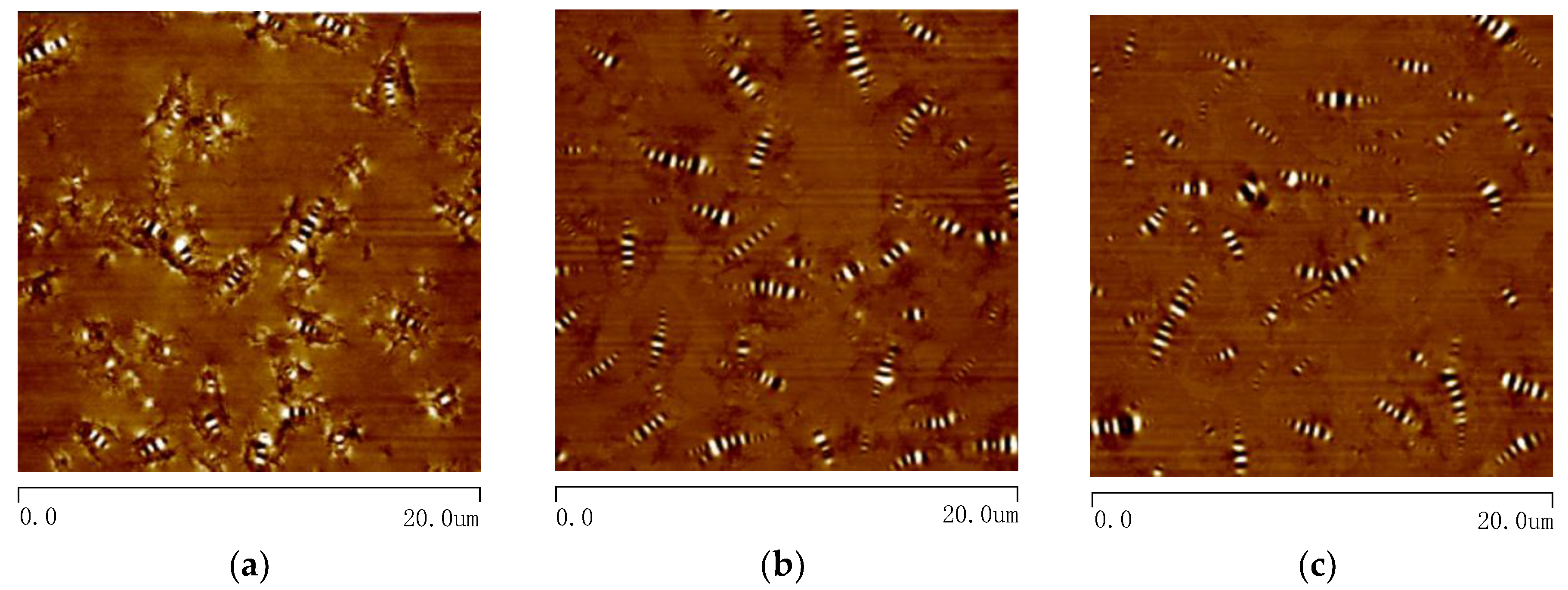 Materials 13 05325 g007