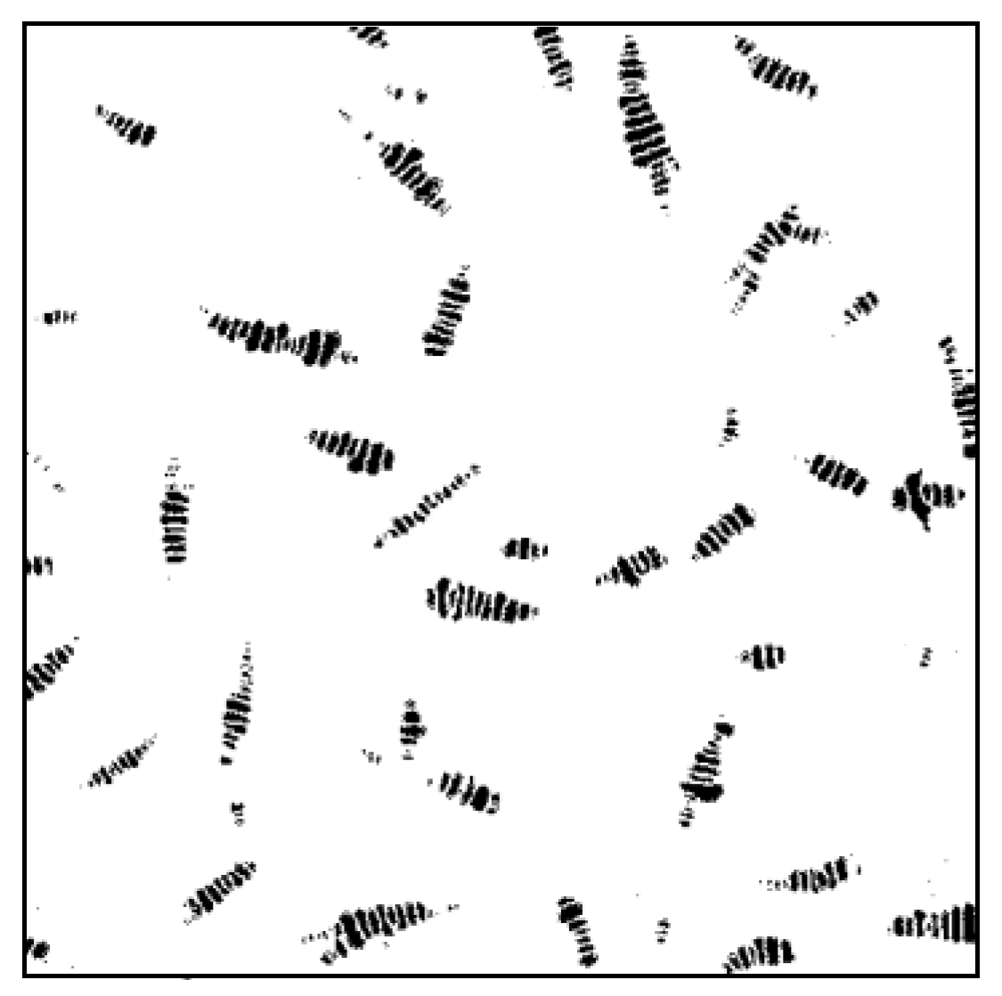 Materials 13 05325 g008