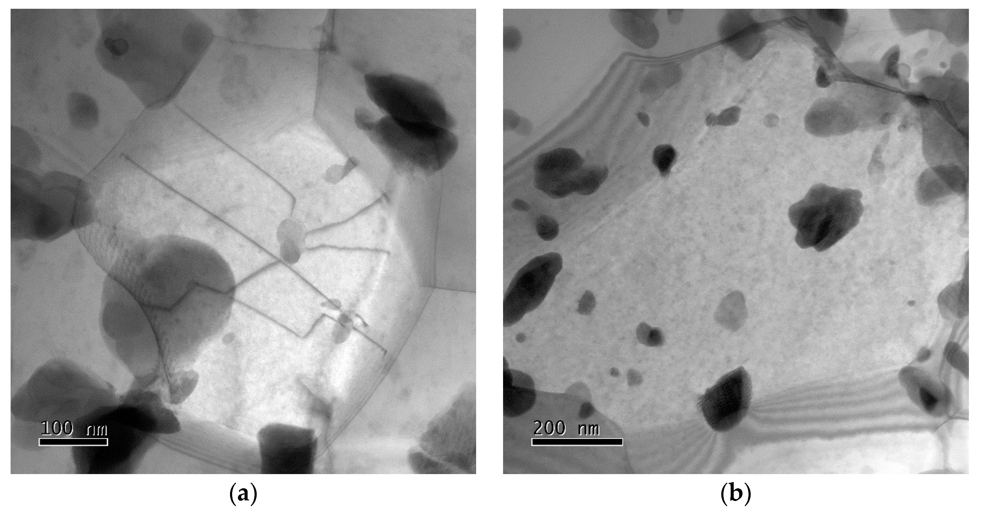 Materials 13 05330 g012a Materials 13 05330 g012a