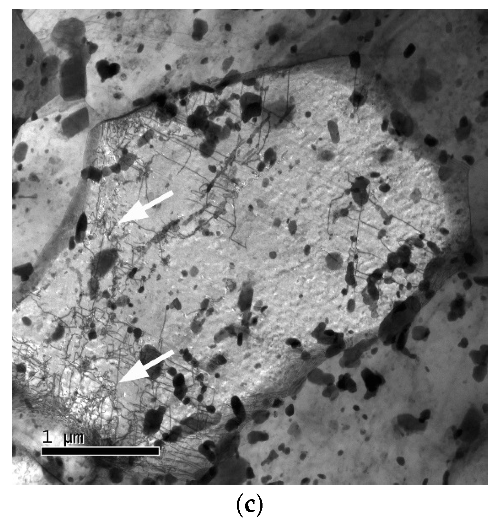 Materials 13 05330 g012b Materials 13 05330 g012b