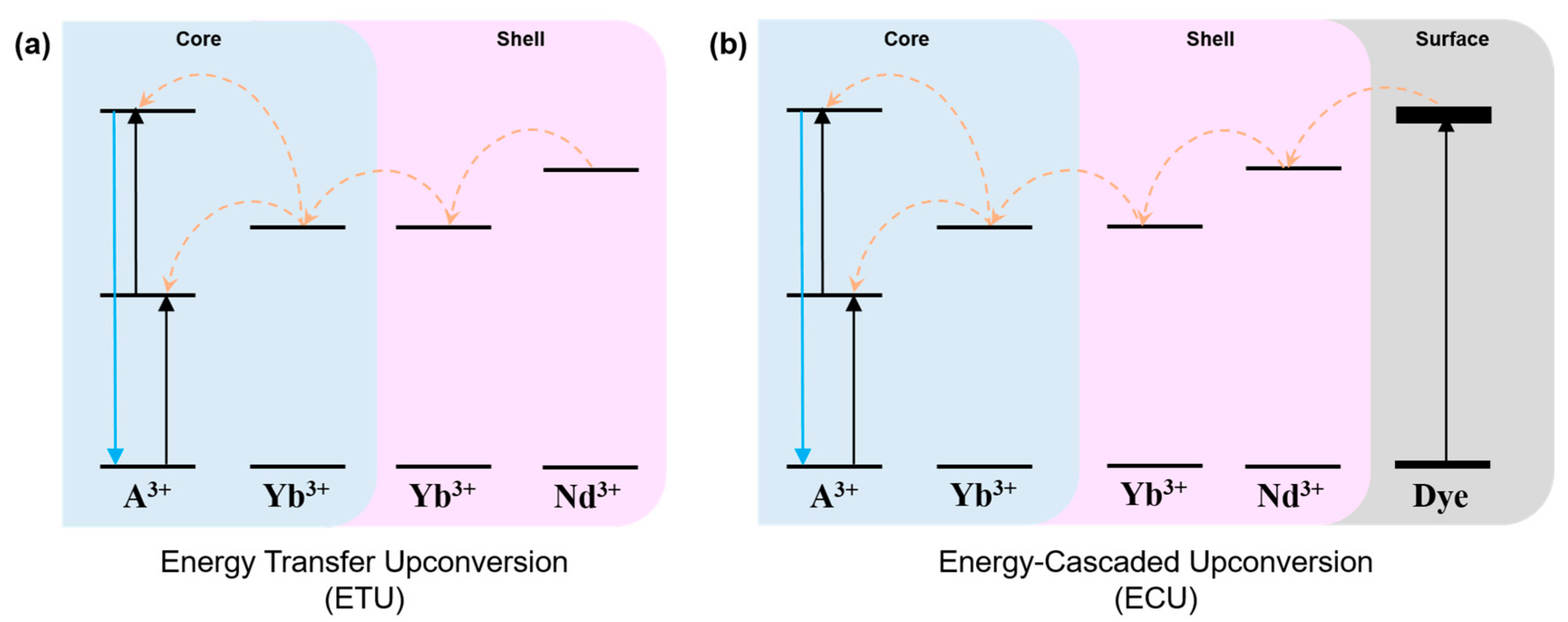 Materials 13 05338 g001 Materials 13 05338 g001