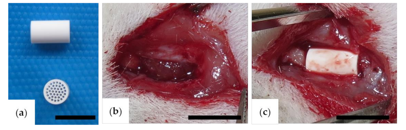 Materials 13 05374 g001