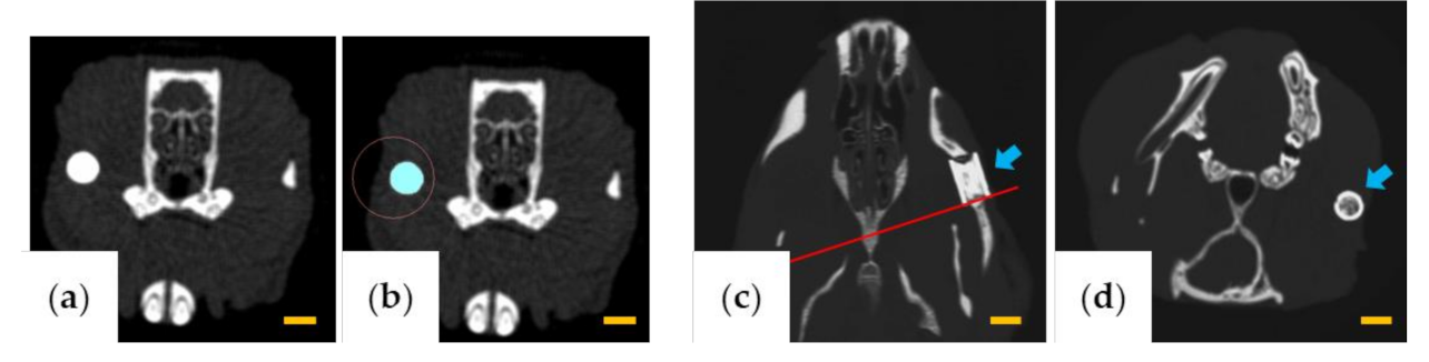 Materials 13 05374 g002