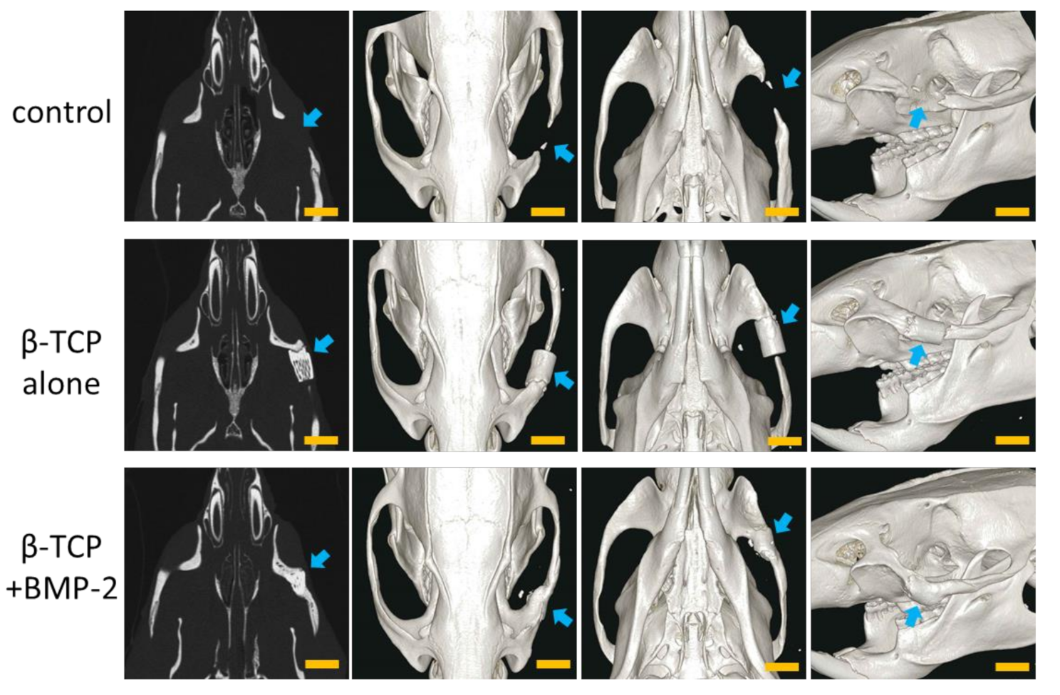 Materials 13 05374 g003