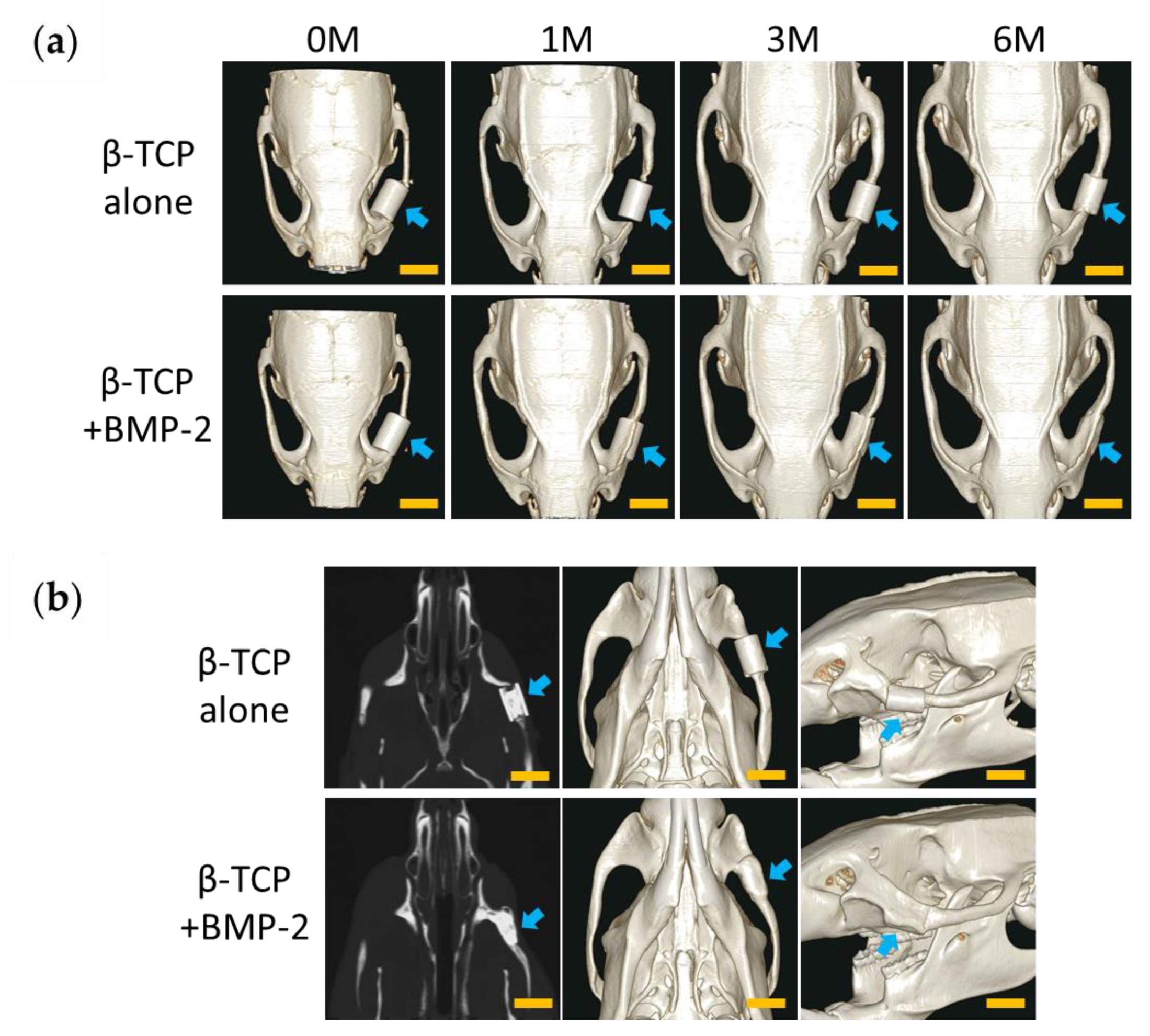 Materials 13 05374 g004