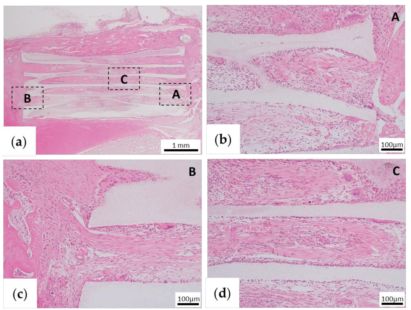 Materials 13 05374 g006