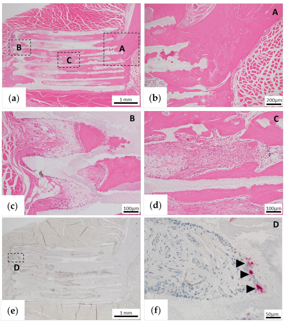 Materials 13 05374 g008