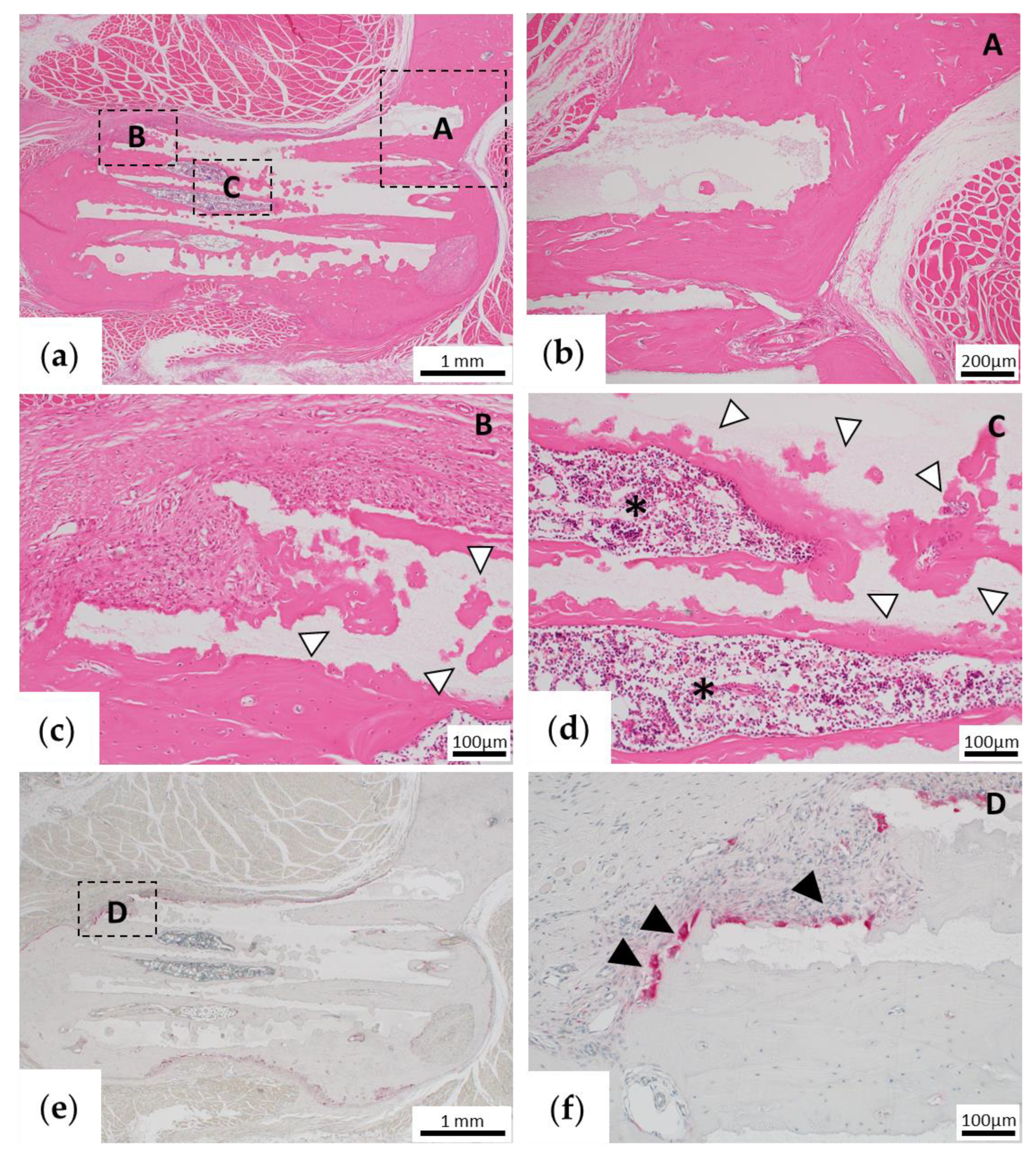 Materials 13 05374 g009