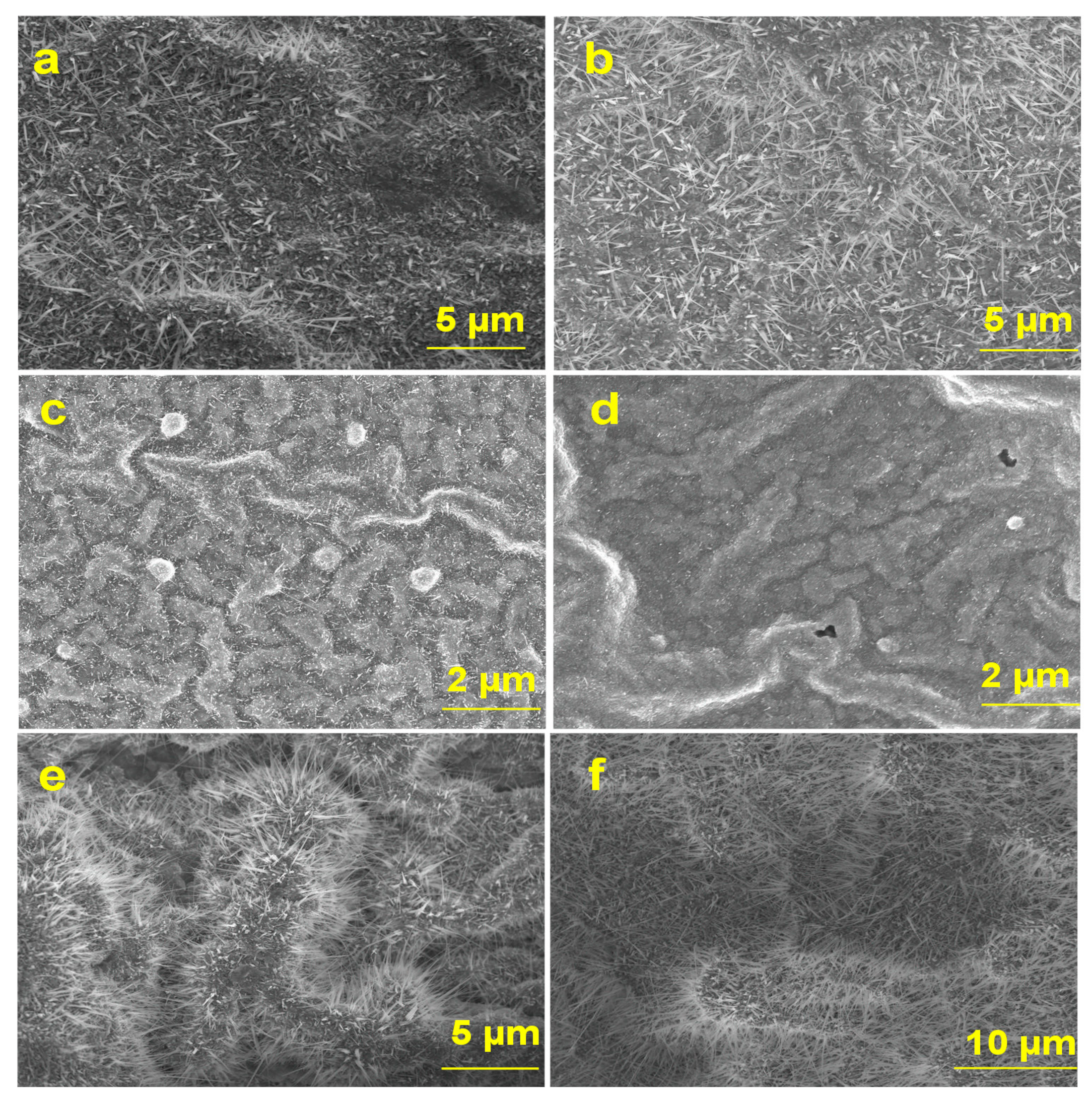 Materials 13 05377 g002 Materials 13 05377 g002