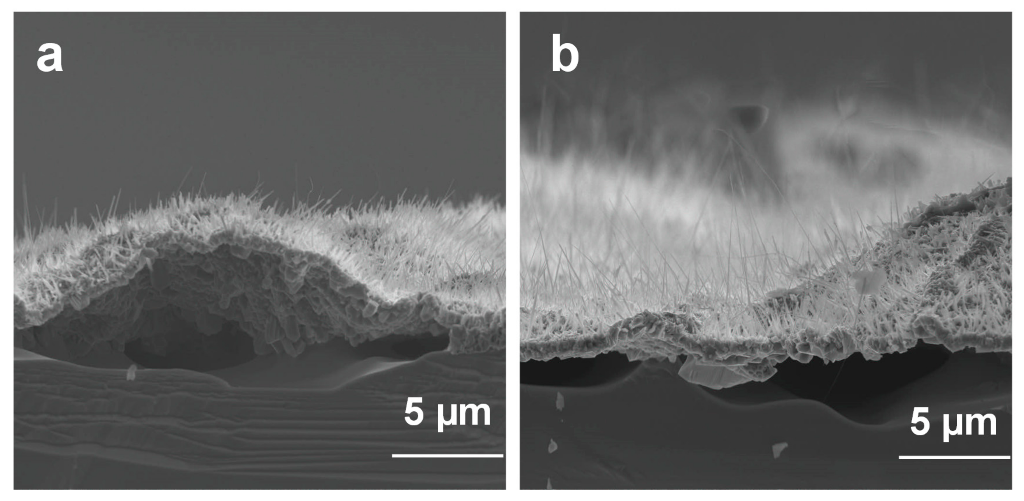 Materials 13 05377 g007 Materials 13 05377 g007