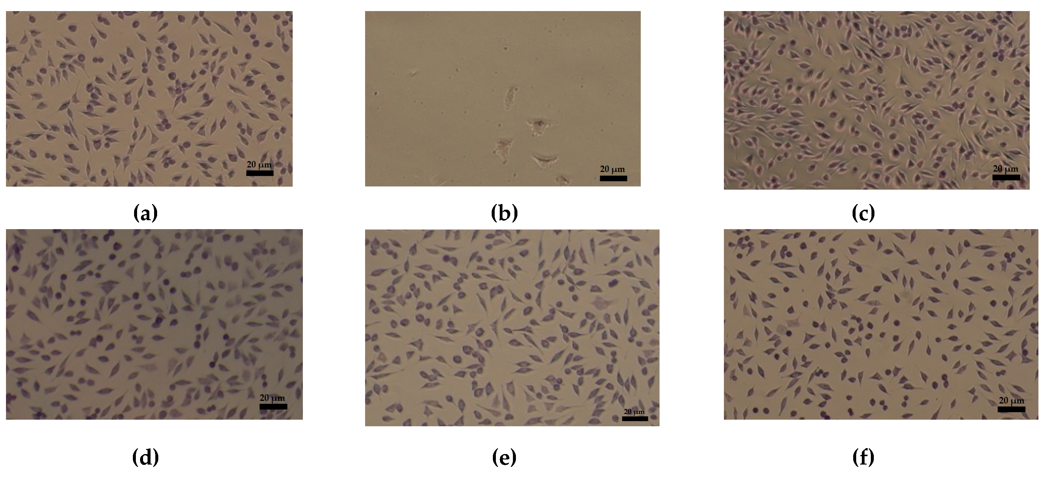 Materials 13 05388 g008a Materials 13 05388 g008a