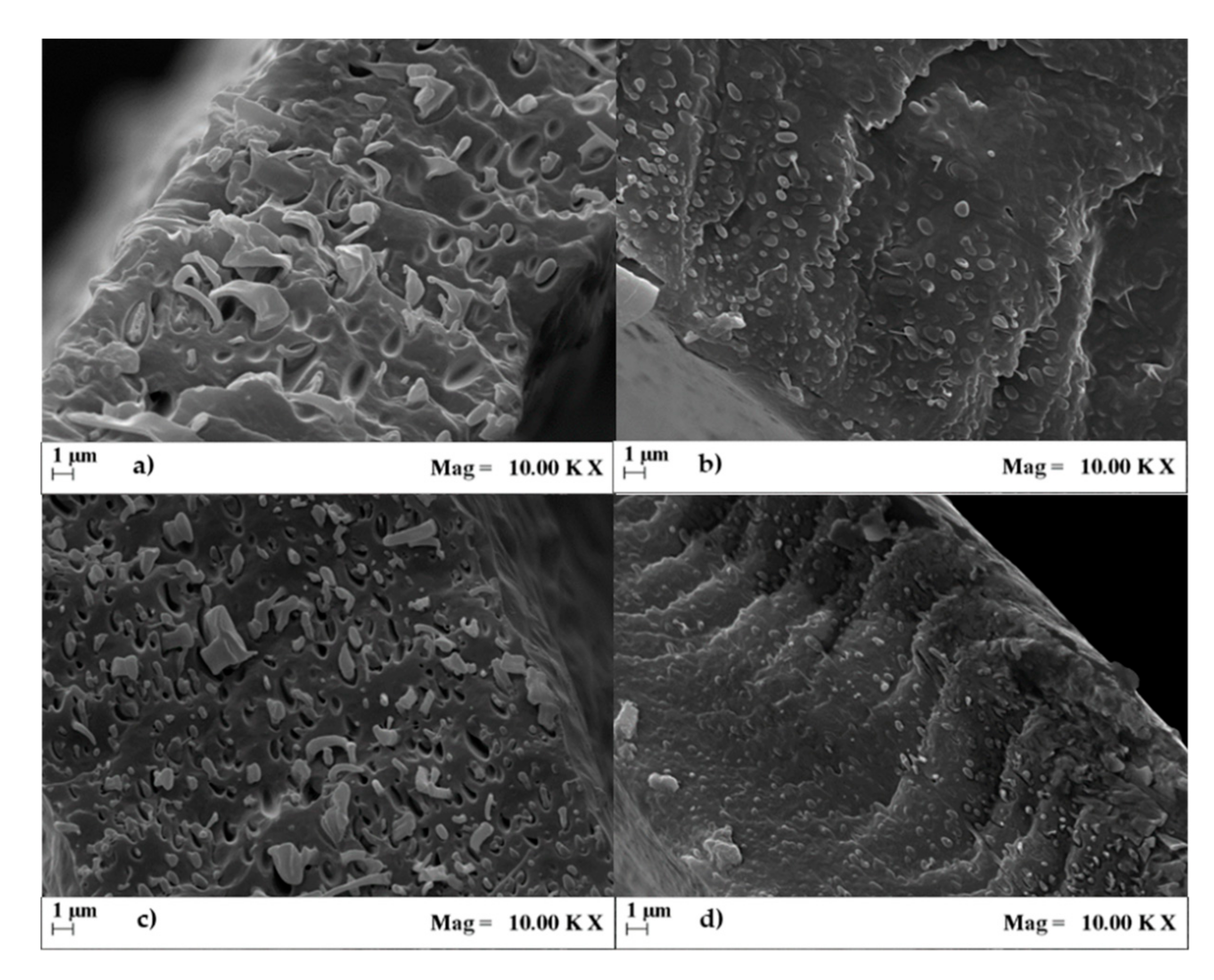 Materials 13 05395 g004