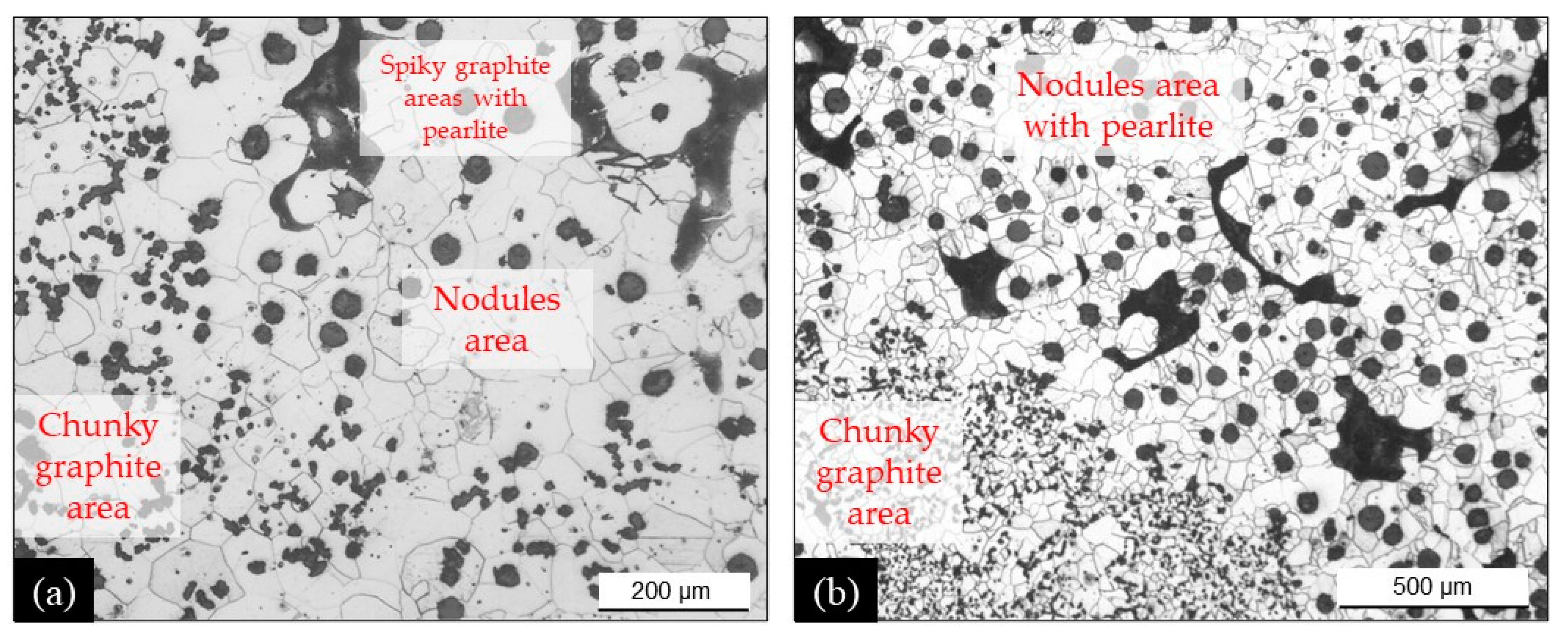 Materials Free FullText Chunky Graphite in Low and High Silicon