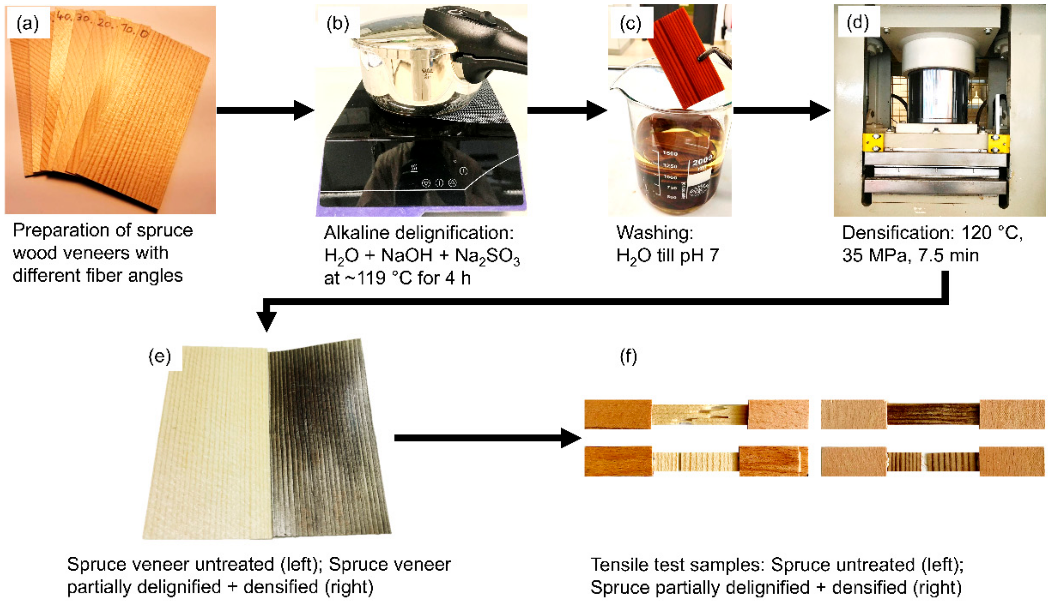 Materials 13 05405 g001