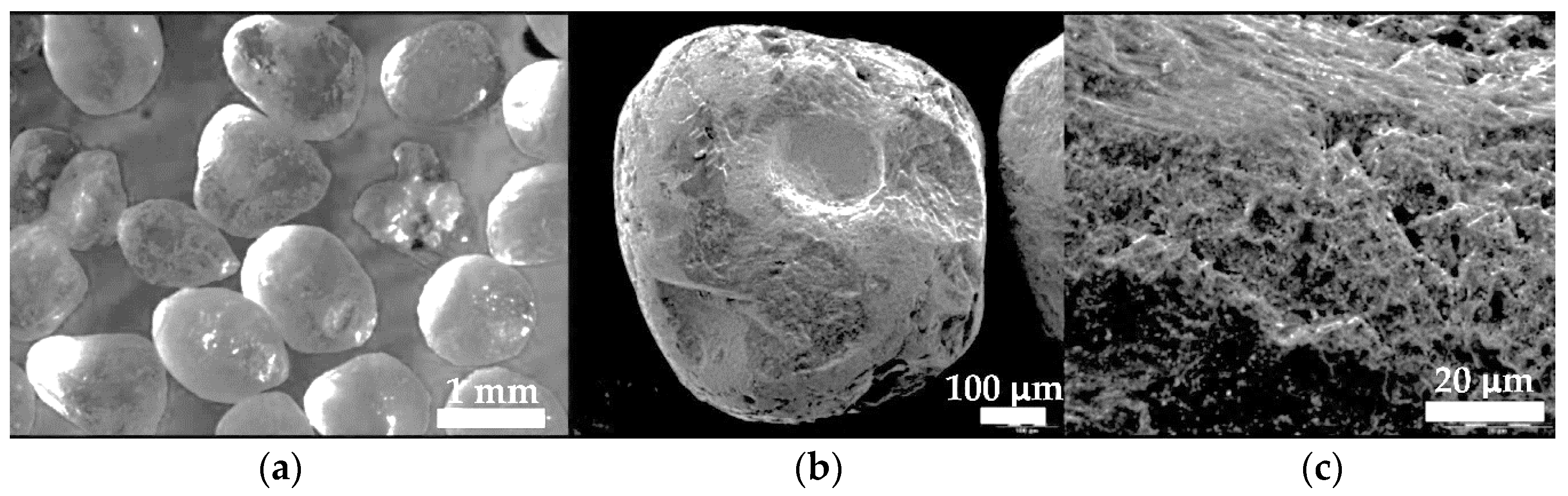 Materials 13 05445 g004 Materials 13 05445 g004