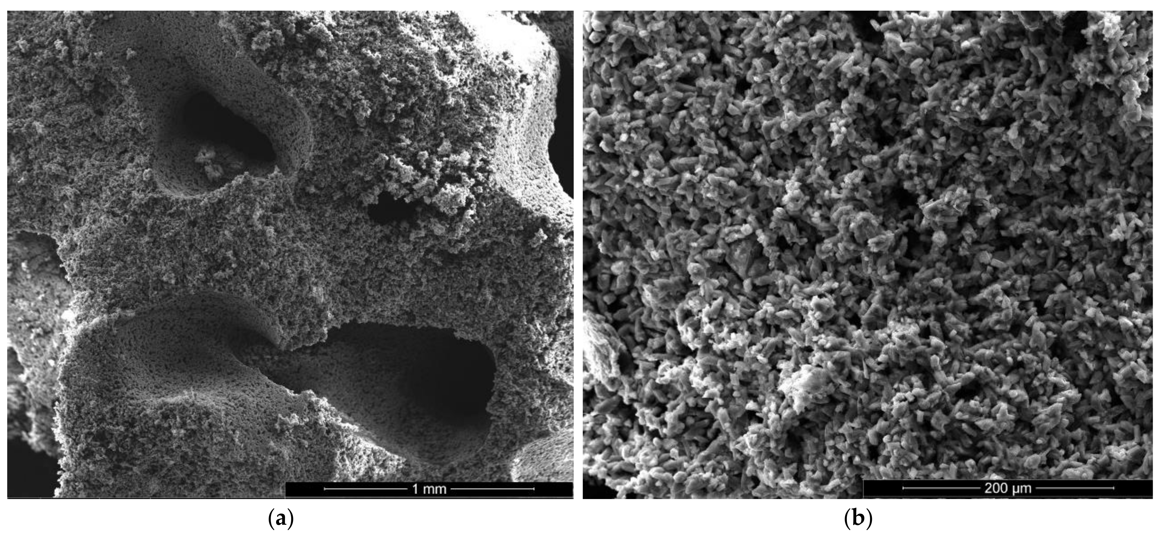 Materials 13 05454 g006a Materials 13 05454 g006a