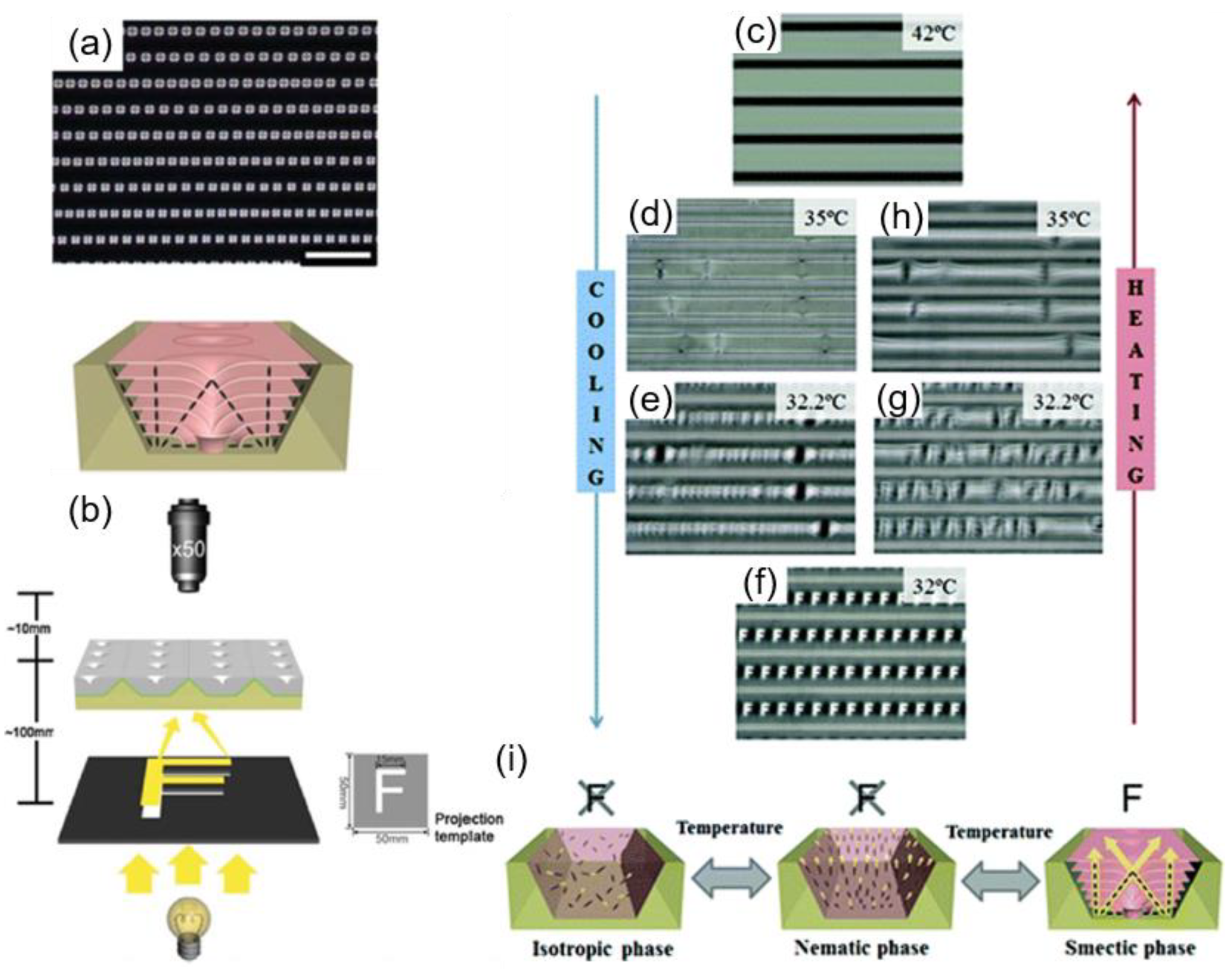 Materials 13 05466 g016