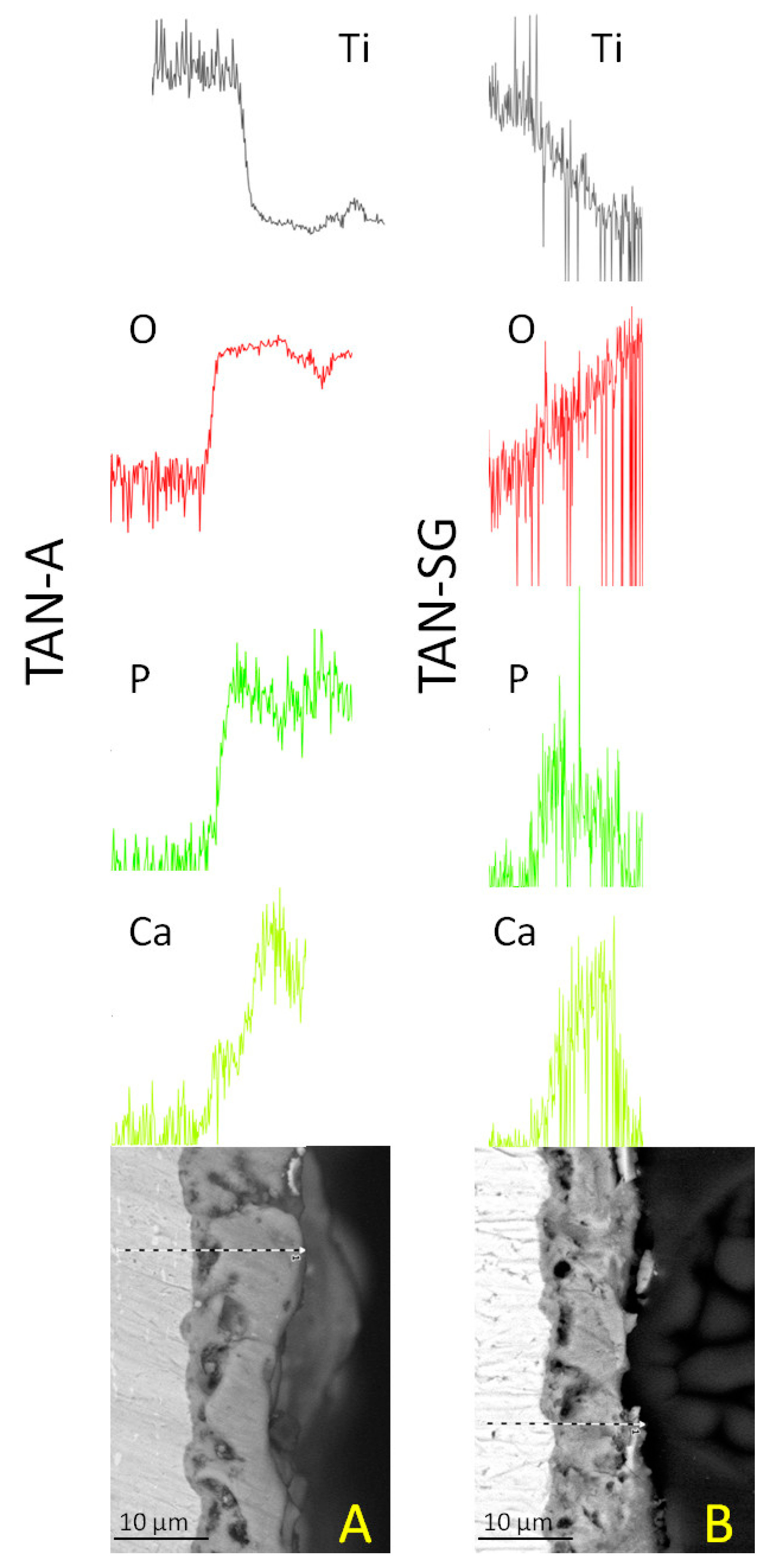 Materials 13 05468 g003