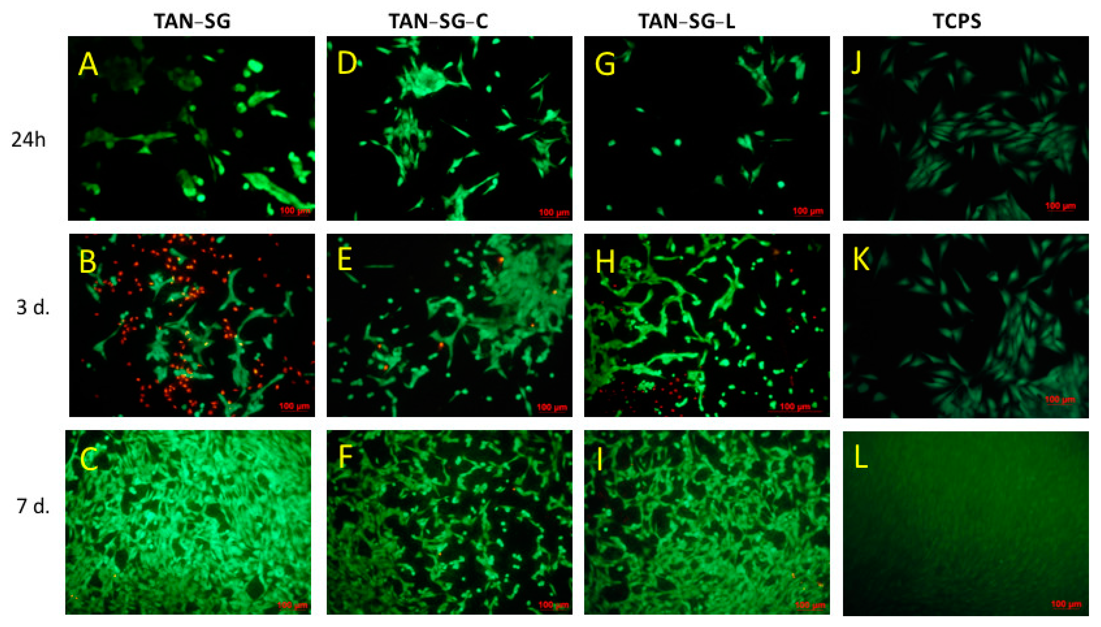 Materials 13 05468 g011