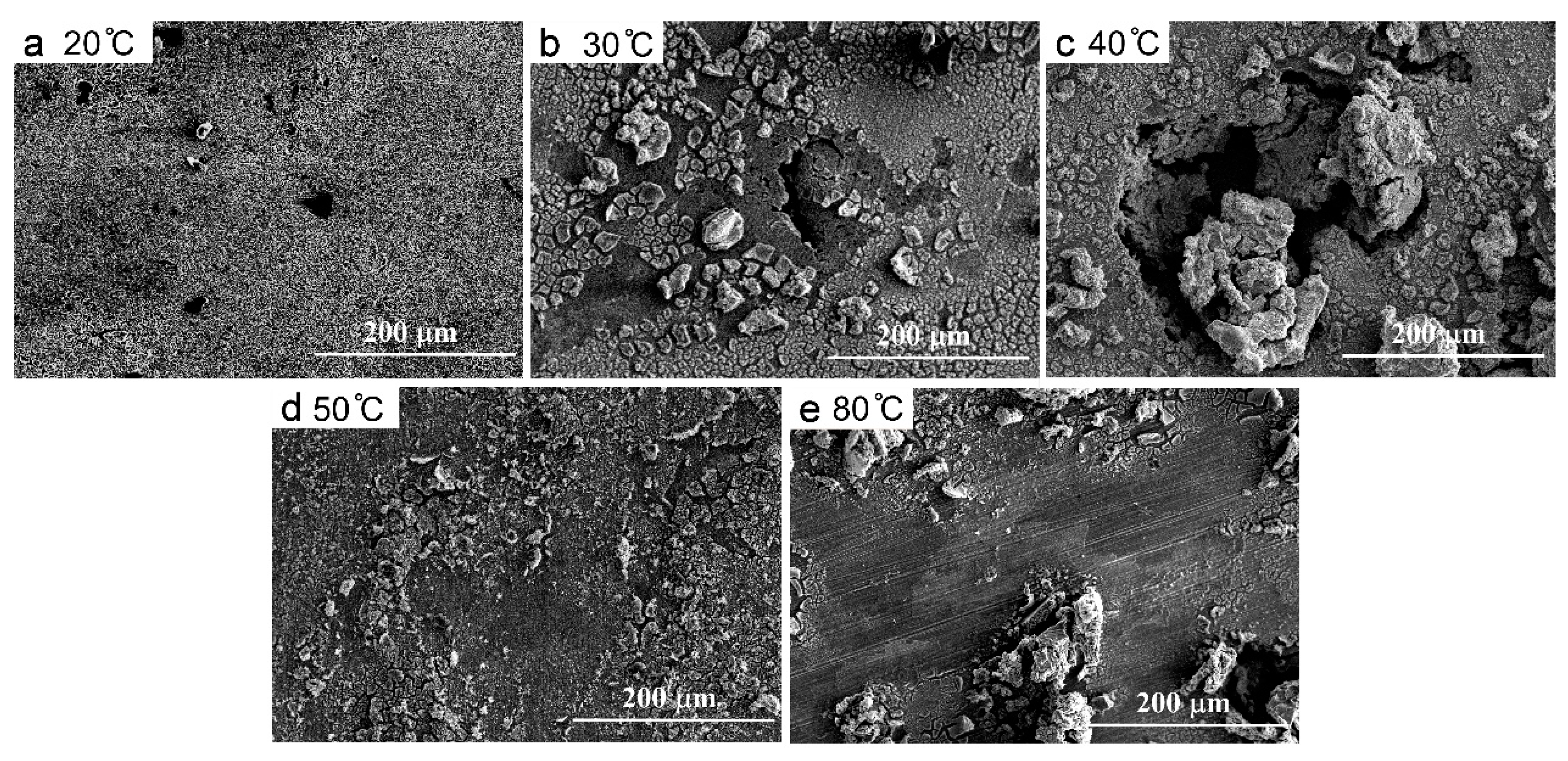 Materials 13 05478 g006 Materials 13 05478 g006