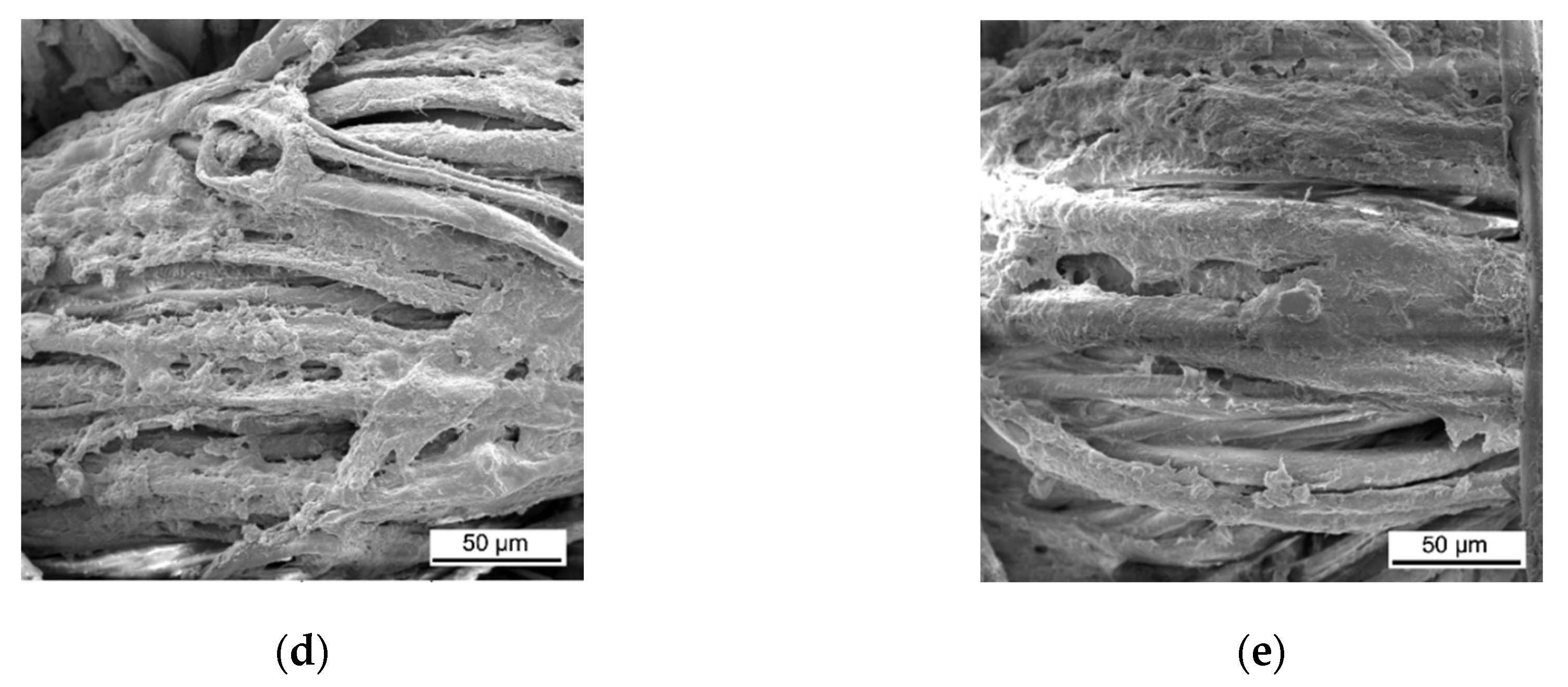 Materials 13 05492 g005b Materials 13 05492 g005b