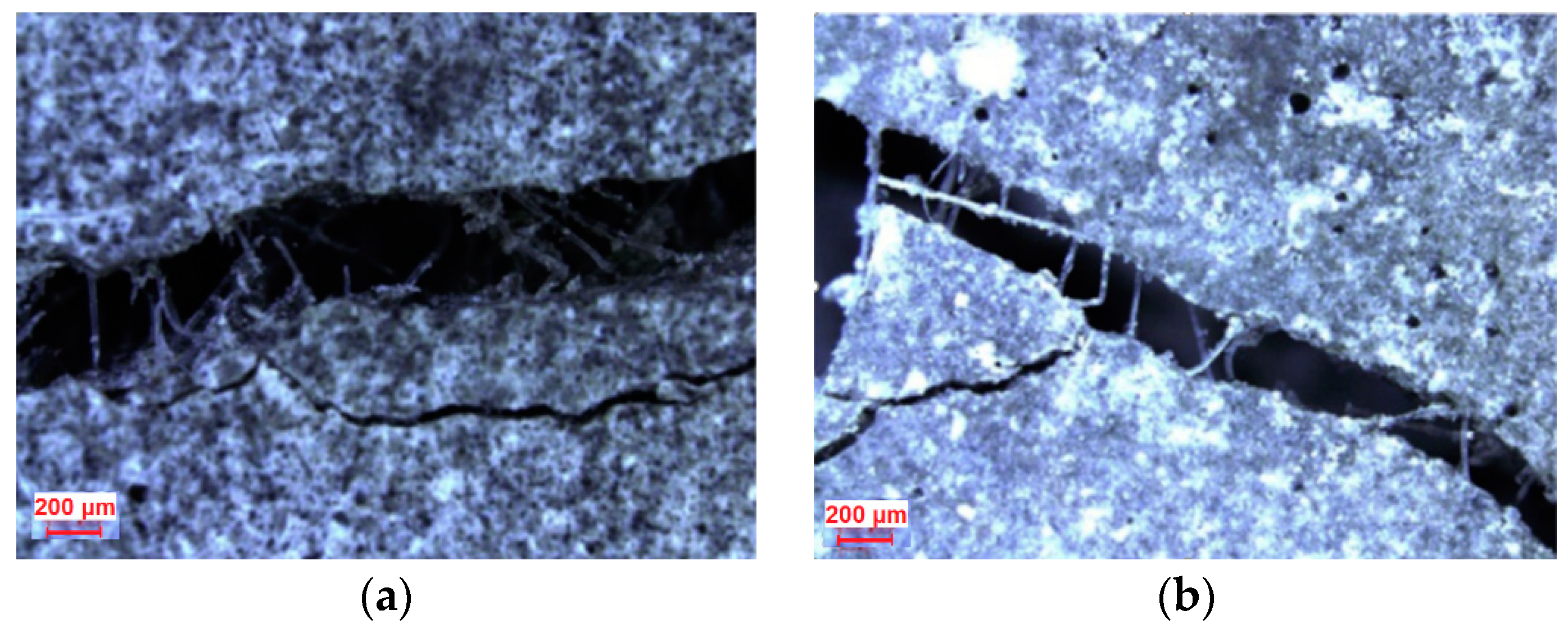 Materials 13 05495 g013a Materials 13 05495 g013a