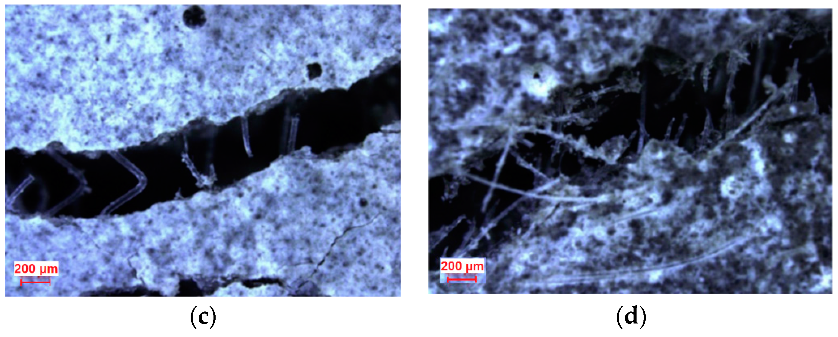 Materials 13 05495 g013b Materials 13 05495 g013b