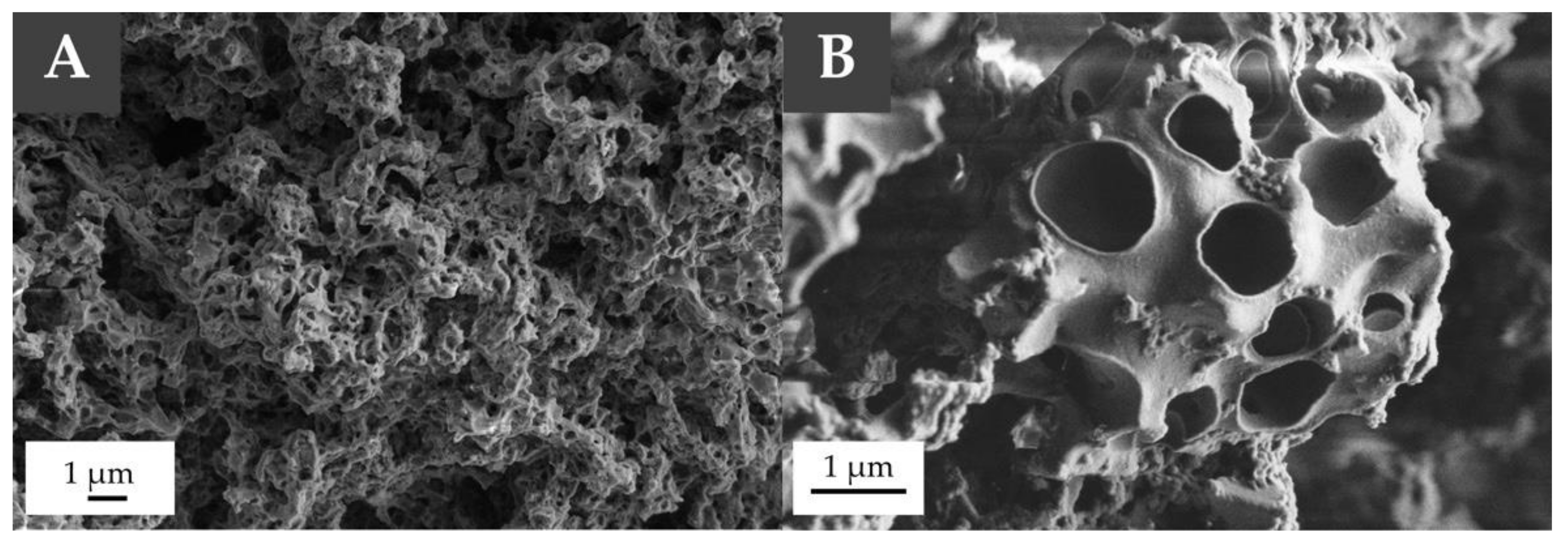 Materials 13 05499 g003