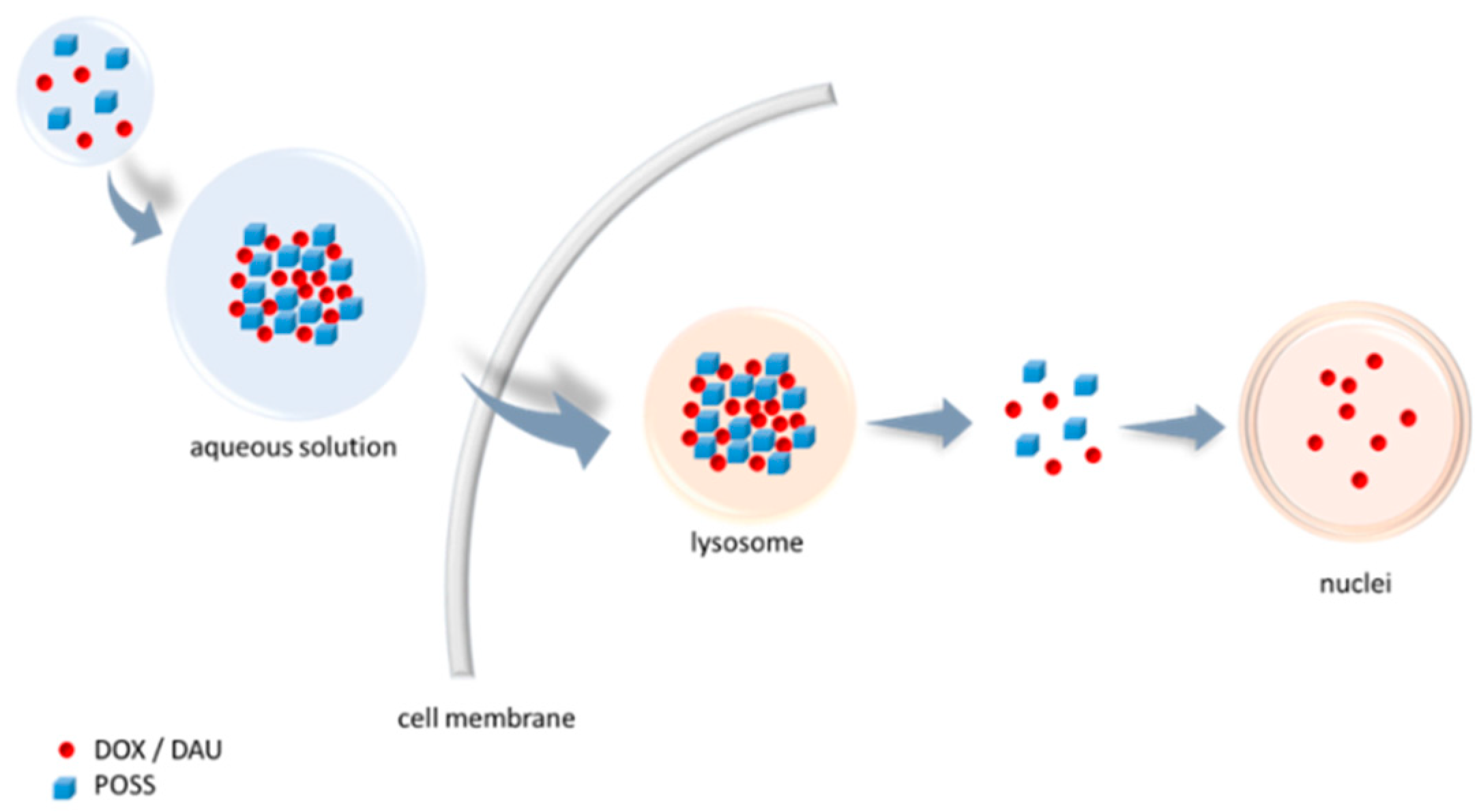 Materials 13 05512 g001