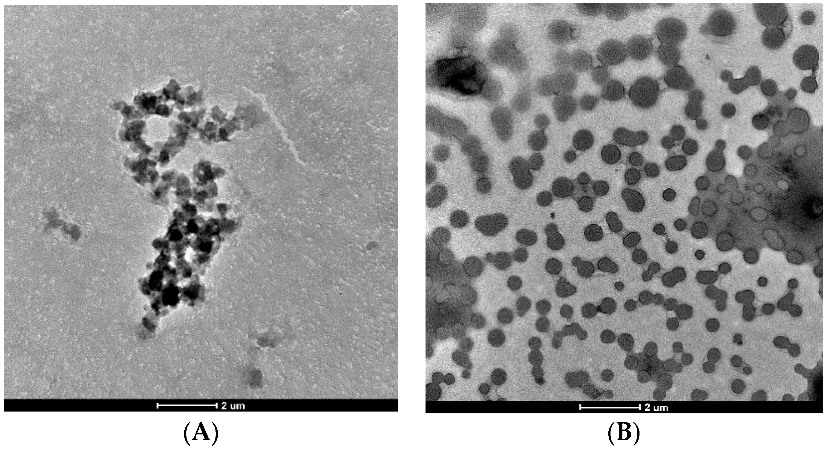 Materials 13 05512 g005