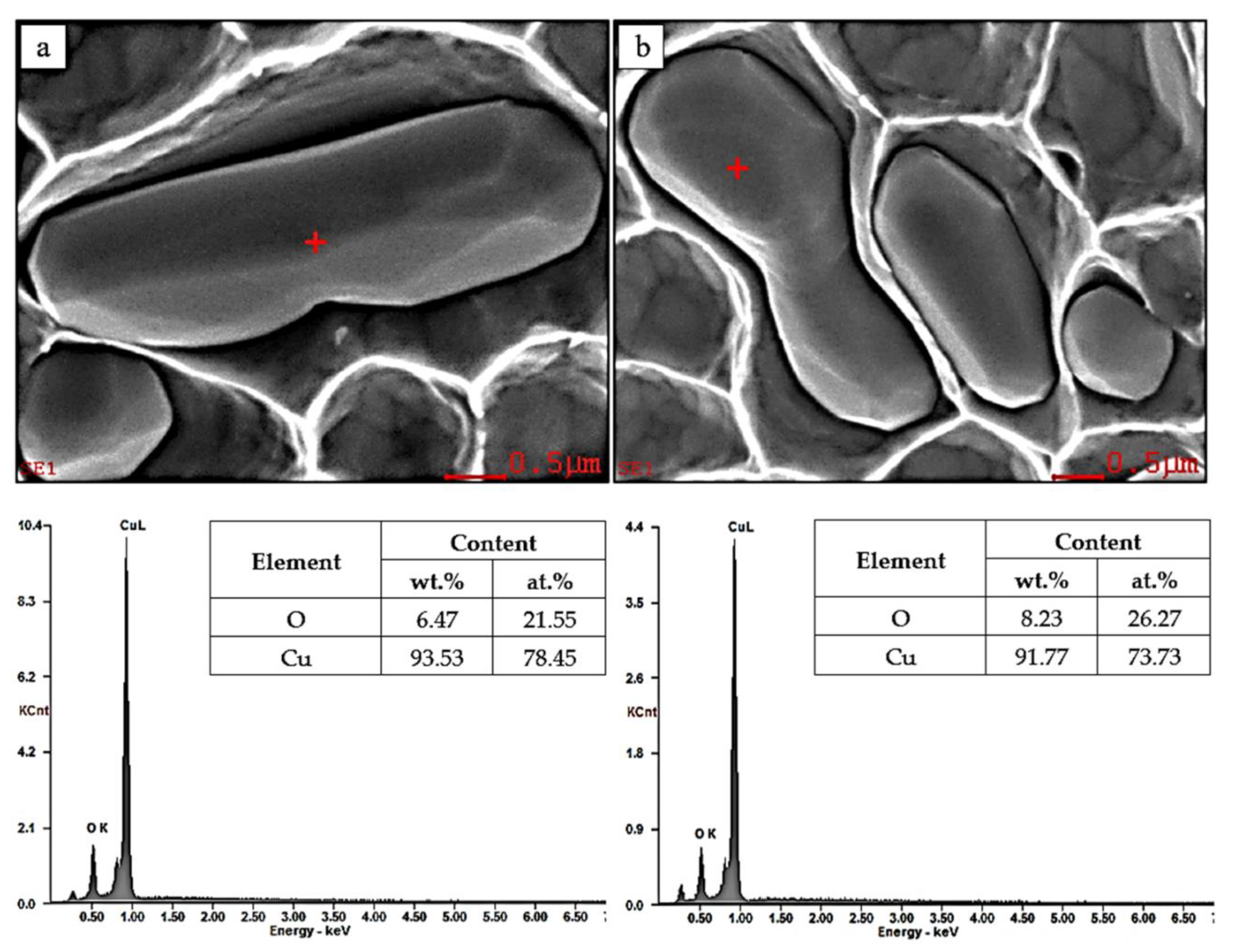 Materials 13 05513 g004 Materials 13 05513 g004