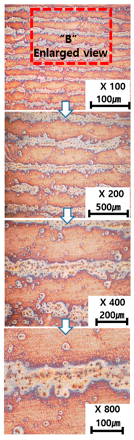 Materials 13 05516 i006 Materials 13 05516 i006