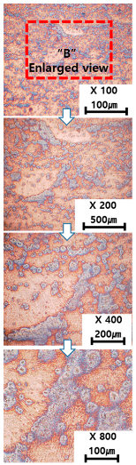 Materials 13 05516 i010 Materials 13 05516 i010