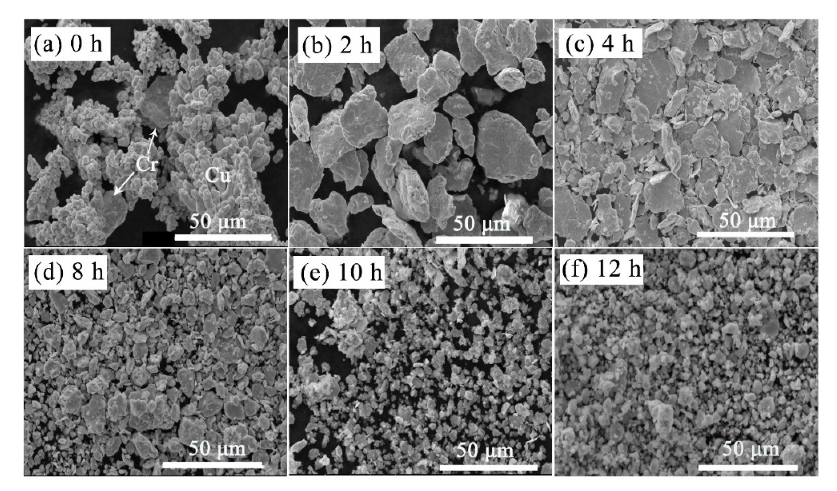 Materials 13 05532 g004 Materials 13 05532 g004