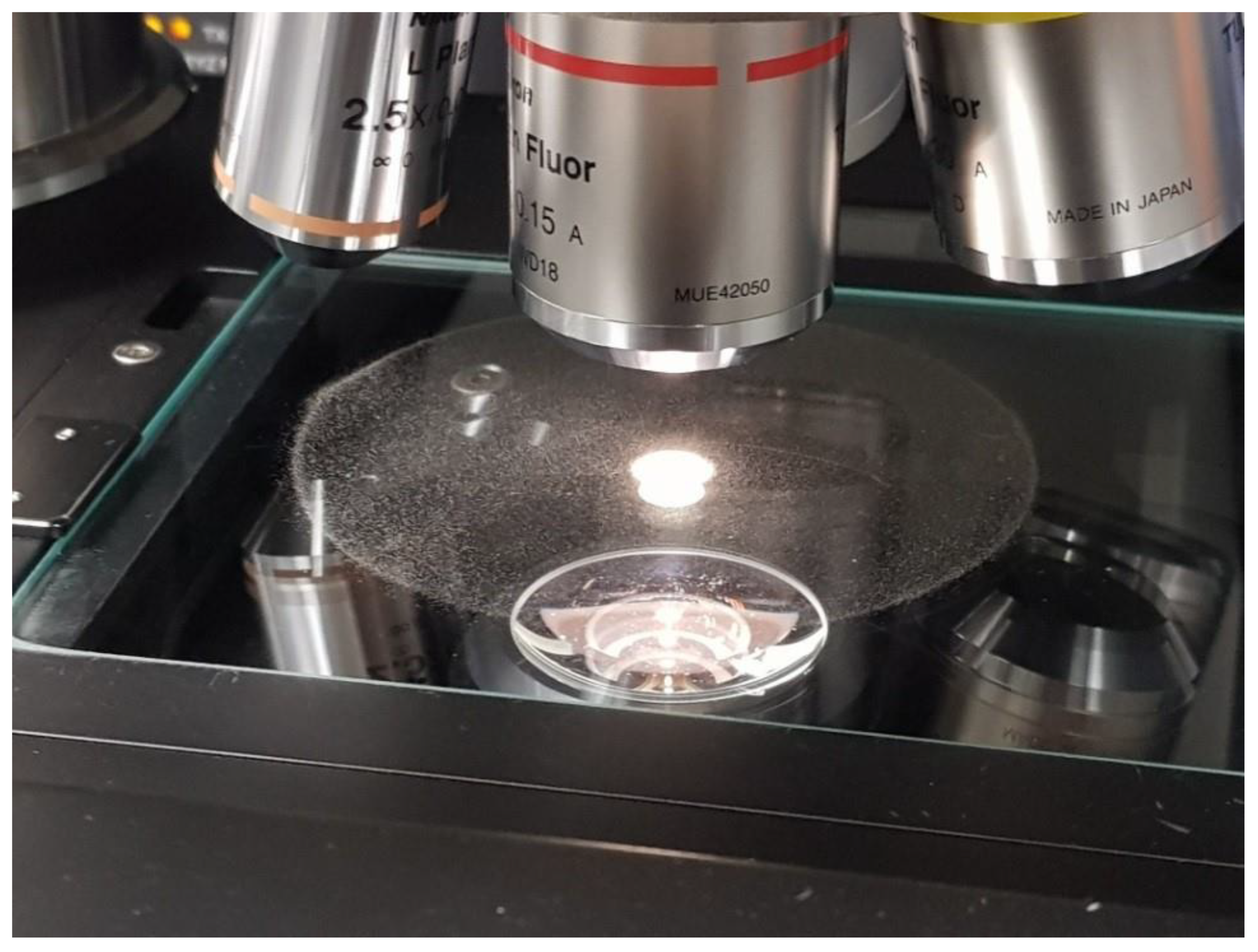 Materials 13 05537 g002