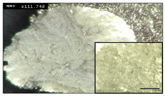 Materials 13 05537 i001