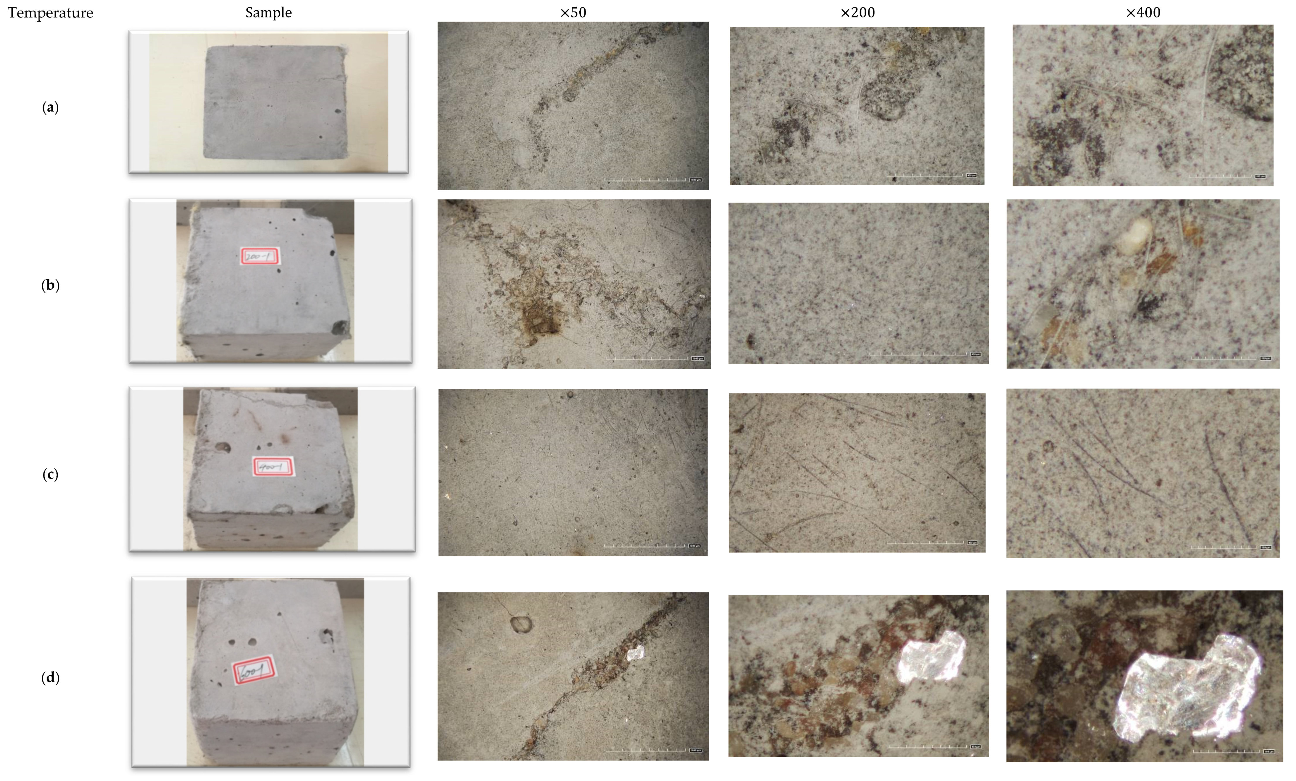 Materials 13 05539 g008a Materials 13 05539 g008a