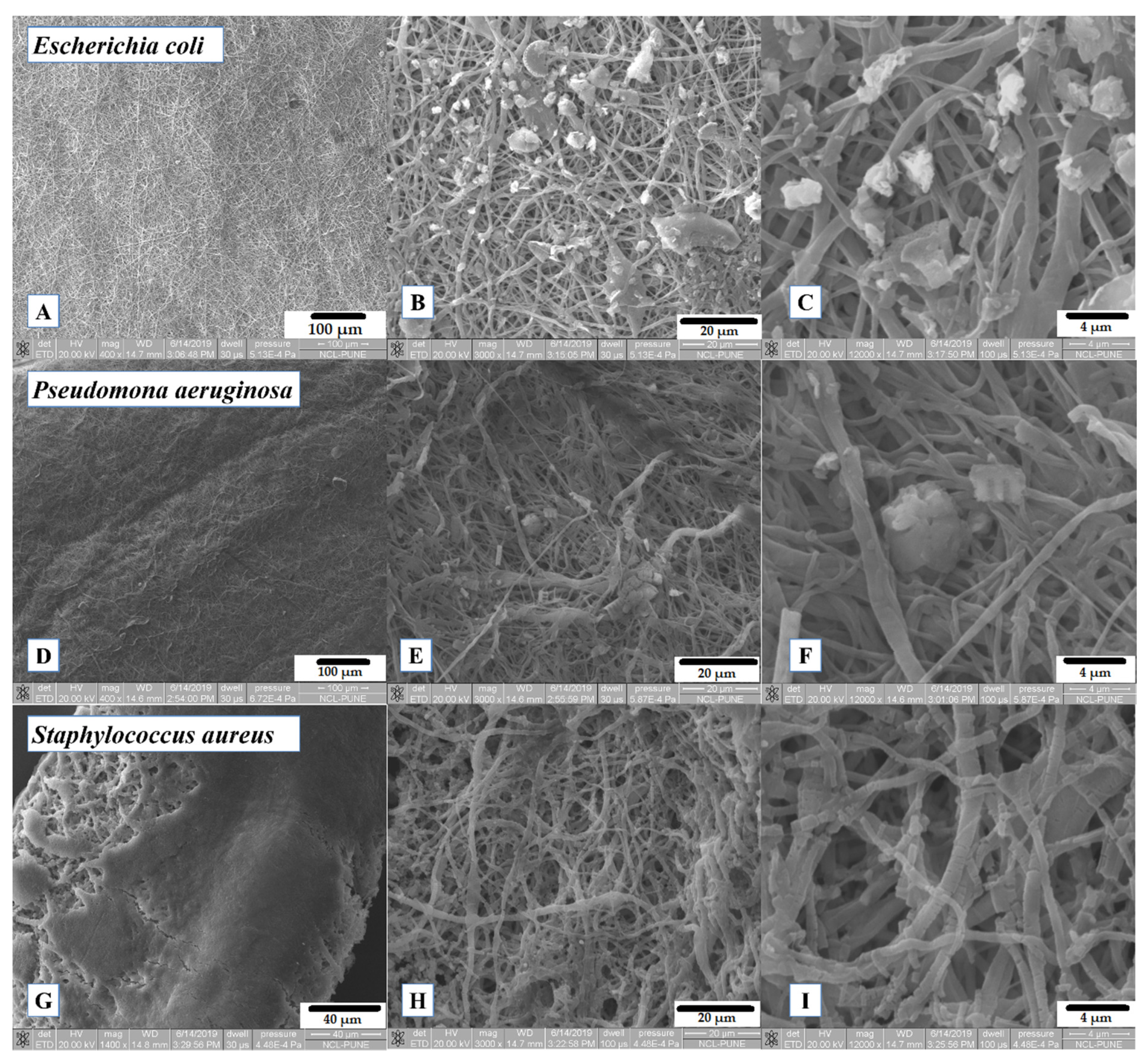 Materials 13 05556 g008 Materials 13 05556 g008