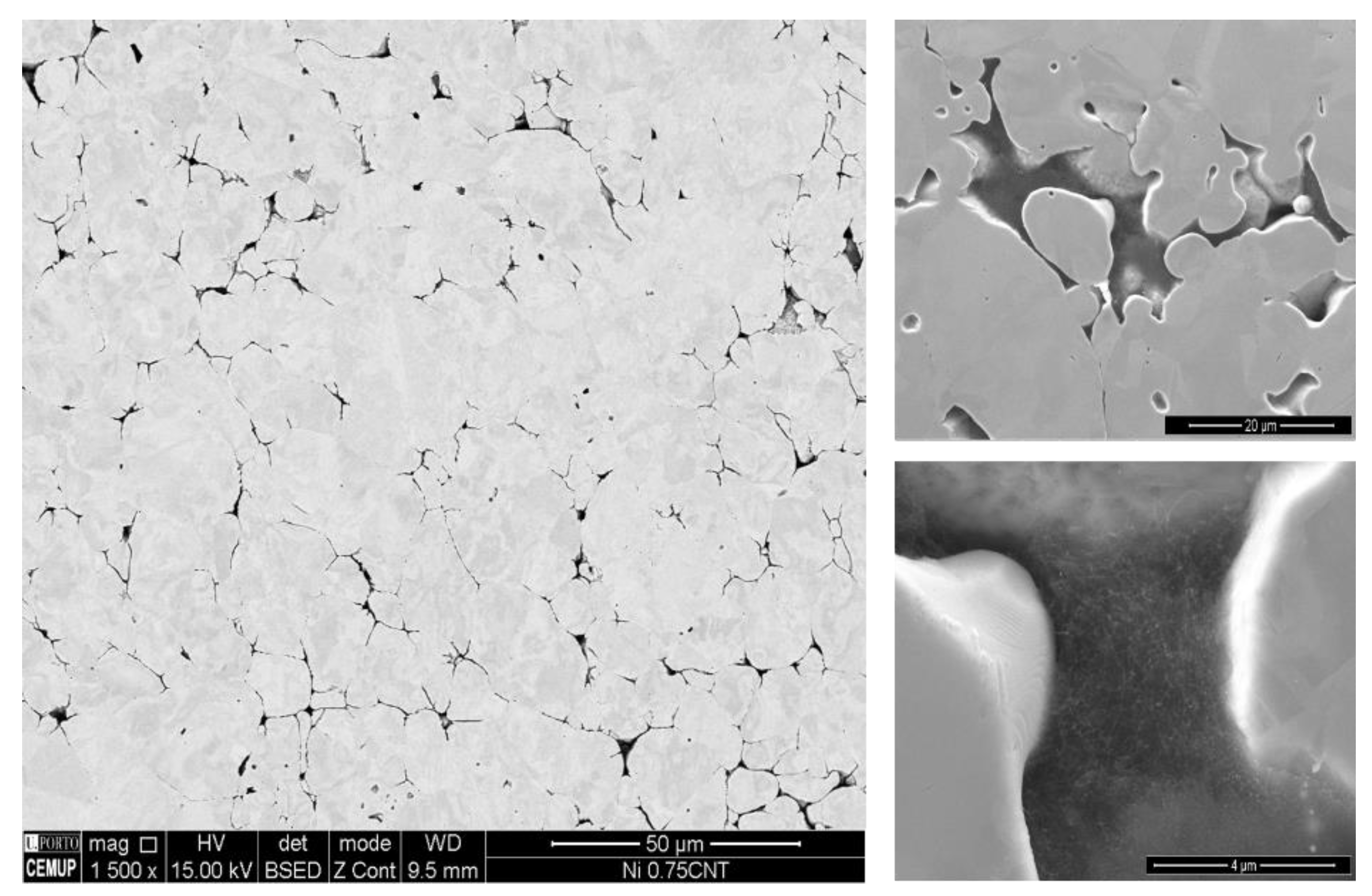 Materials 13 05557 g005 Materials 13 05557 g005