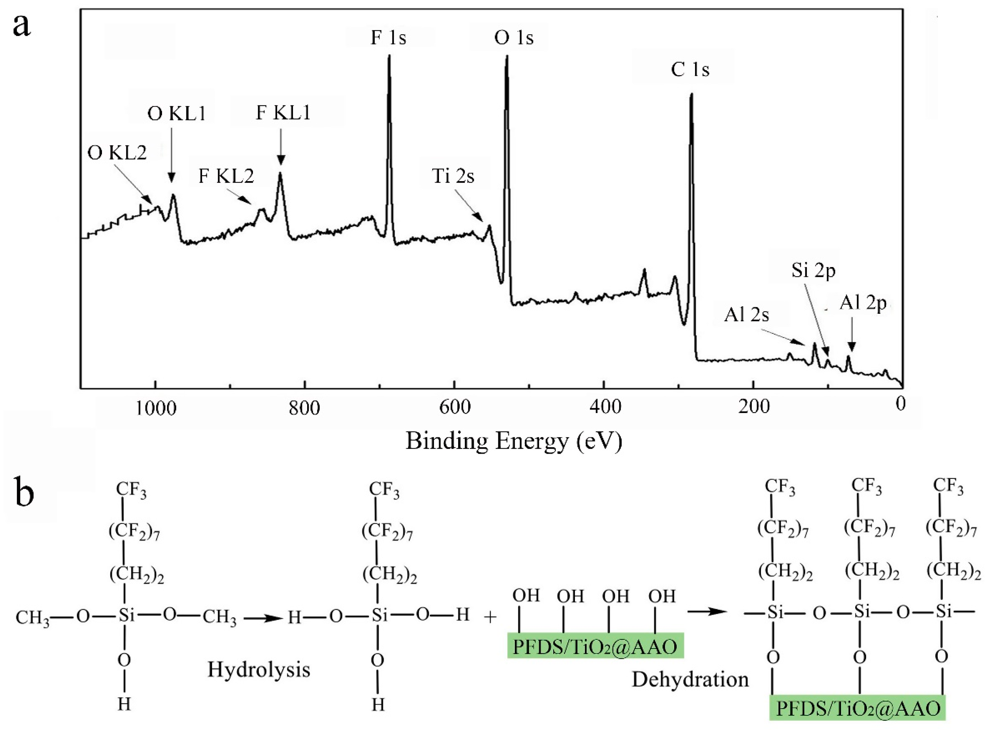 Materials 13 05564 g007 Materials 13 05564 g007