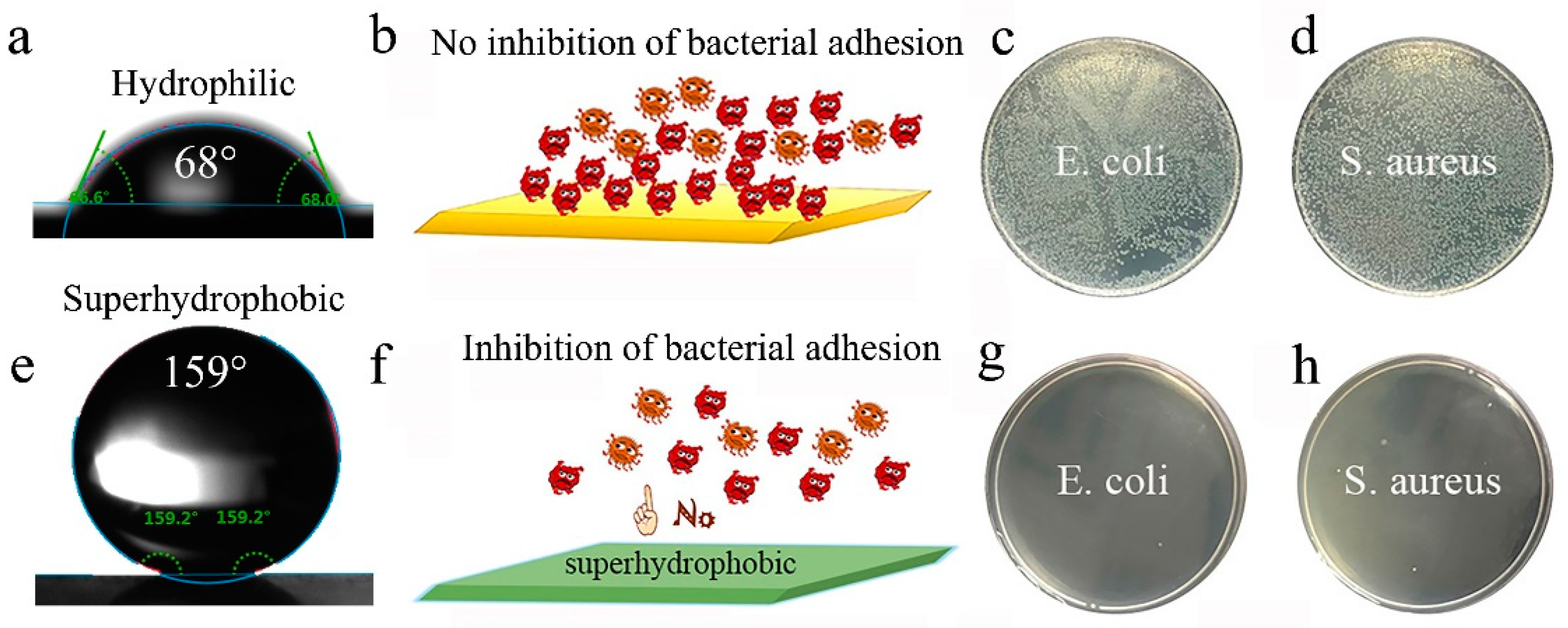 Materials 13 05564 g008 Materials 13 05564 g008