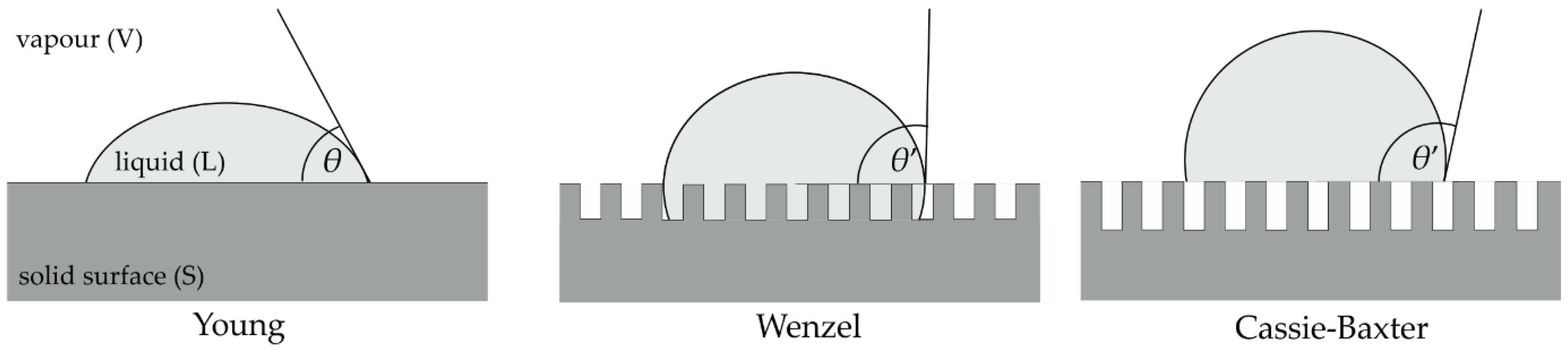 Materials 13 05578 g002