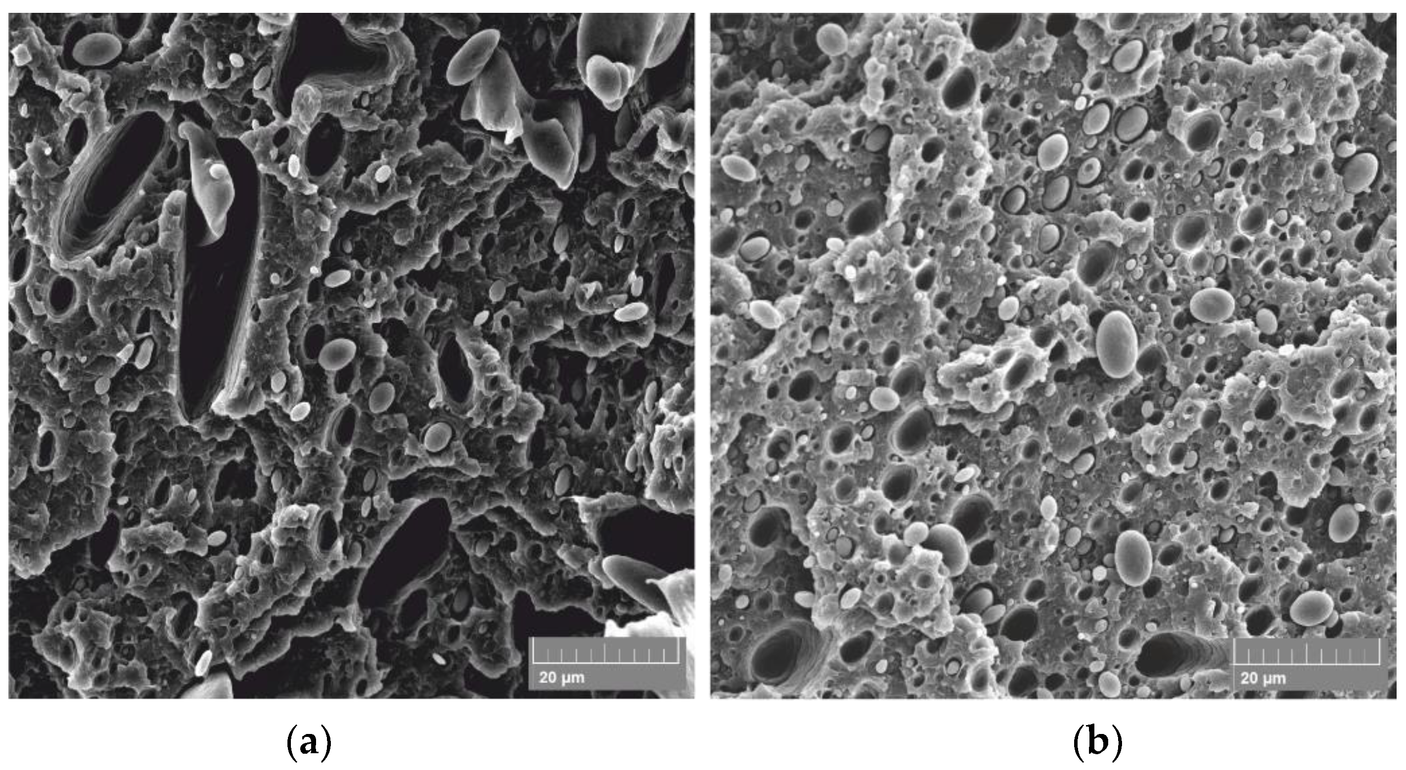 Materials 13 05578 g013