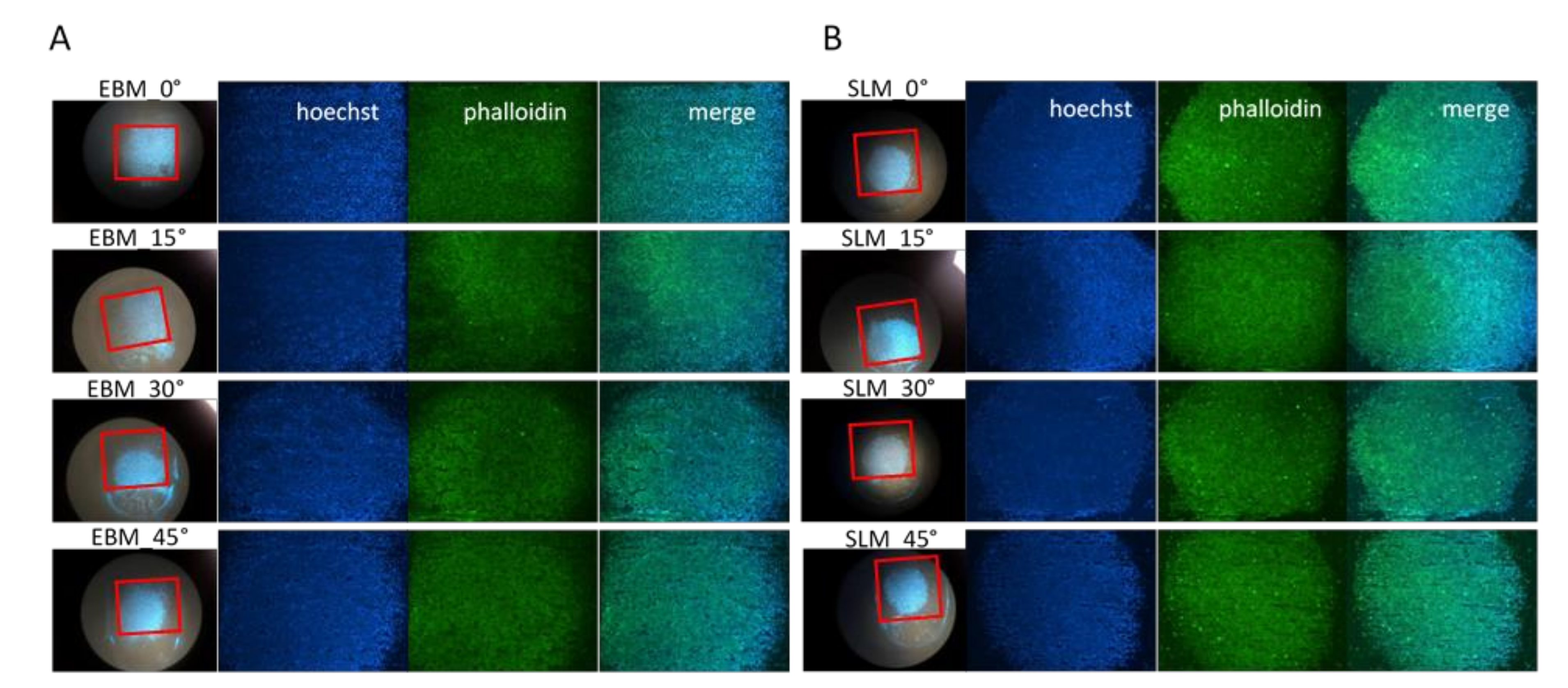 Materials 13 05584 g007 Materials 13 05584 g007