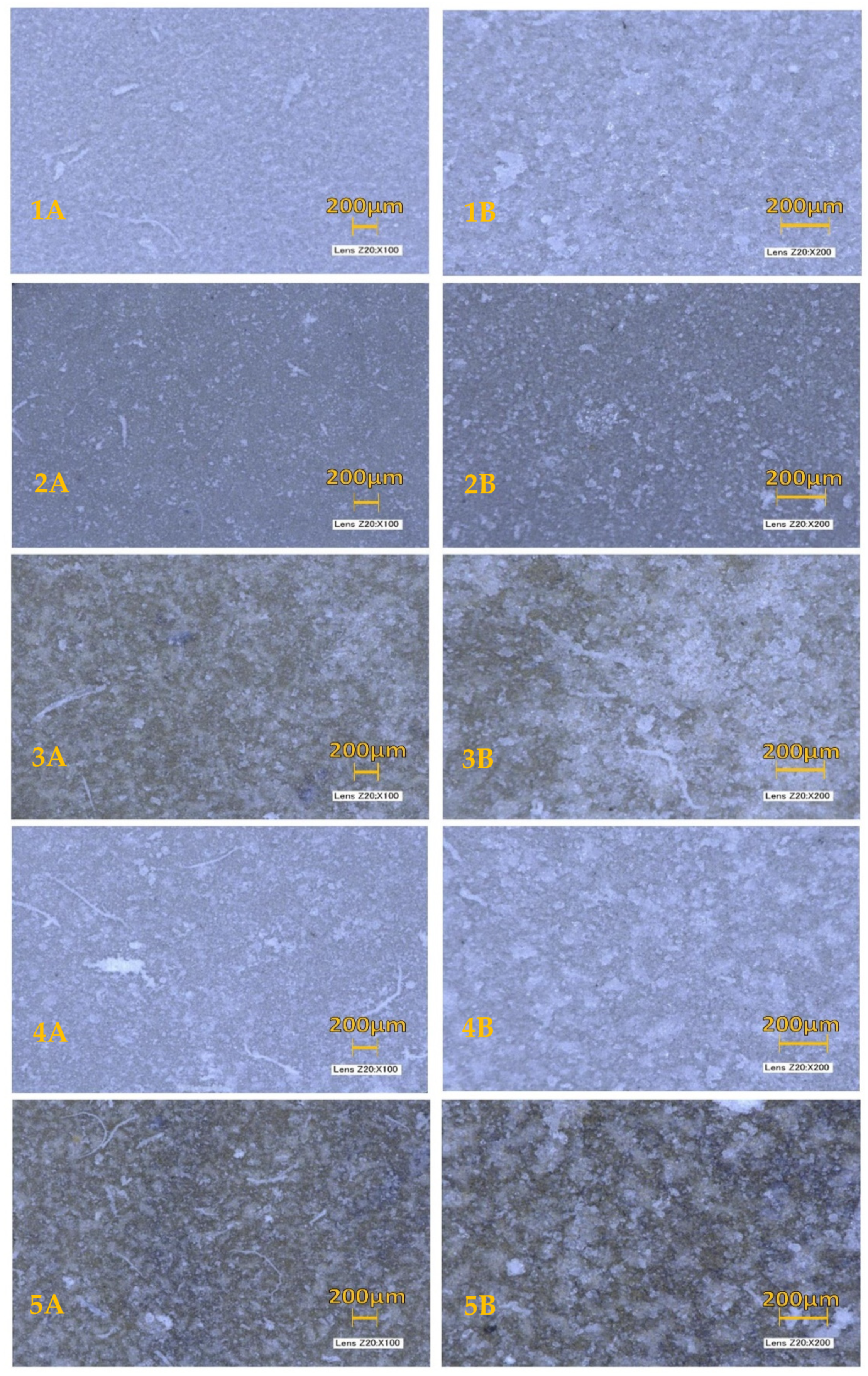 Materials 13 05593 g001