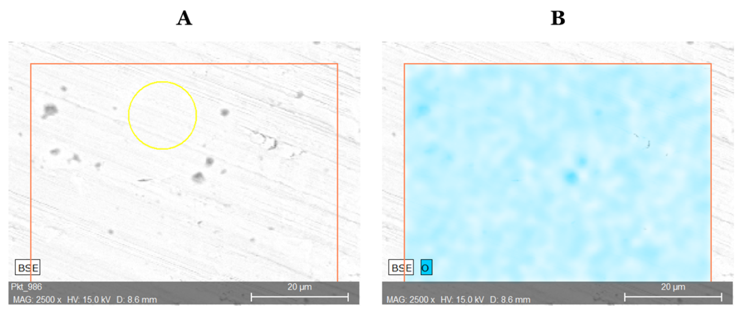 Materials 13 05600 g004