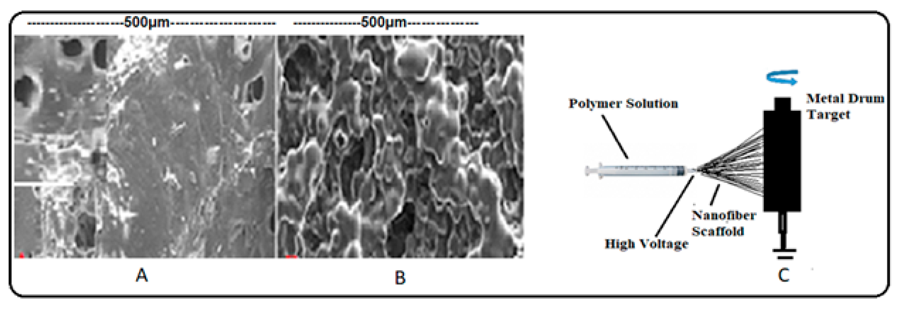 Materials 13 05609 g004