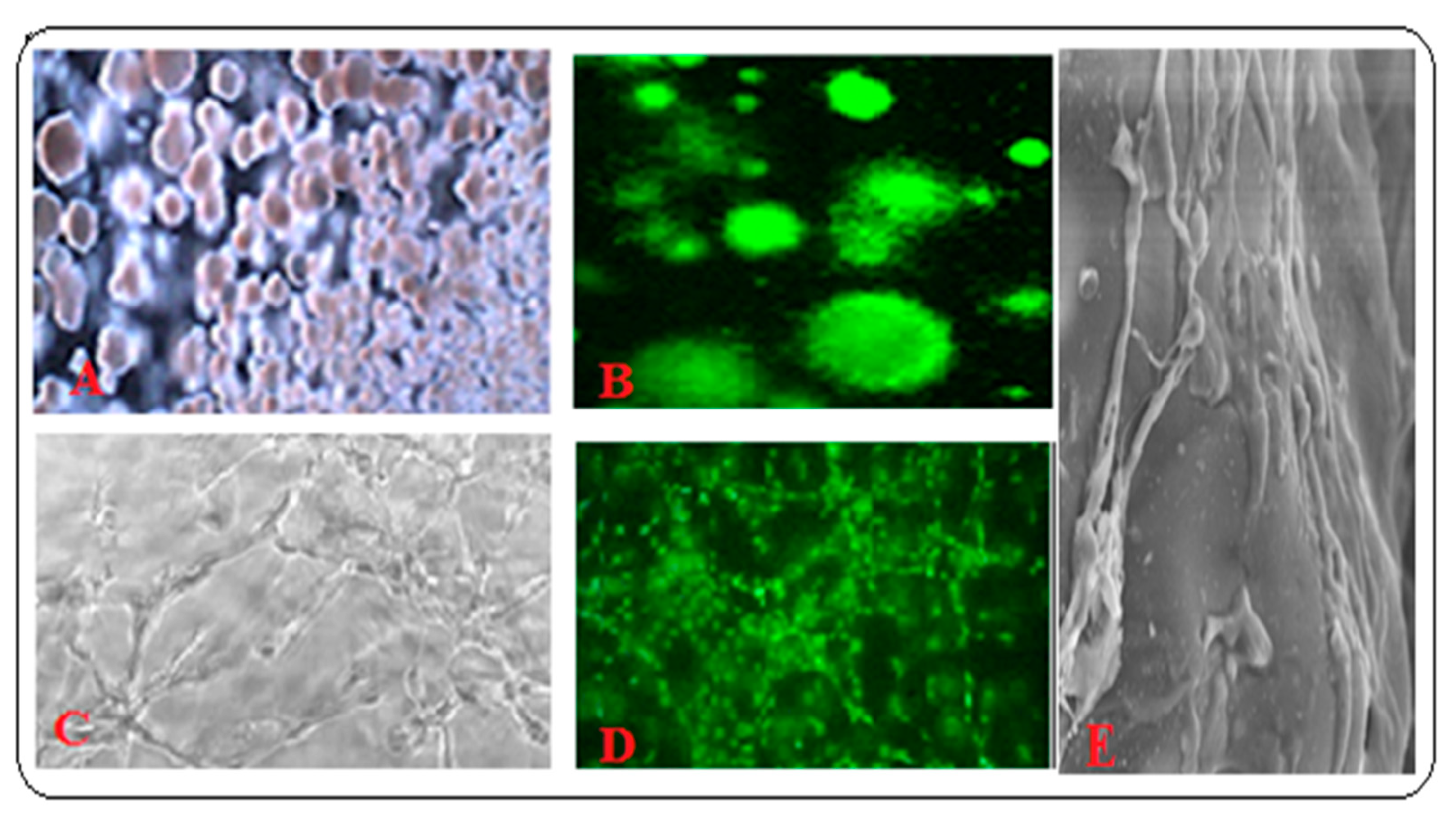 Materials 13 05609 g005