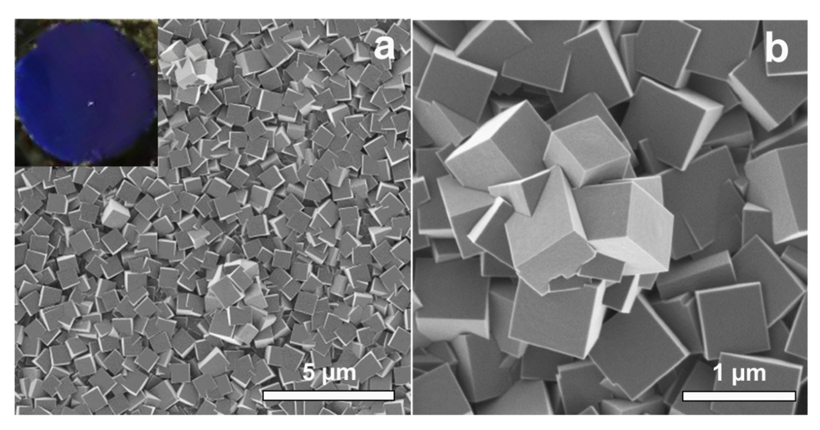 Materials 13 05618 g001 Materials 13 05618 g001