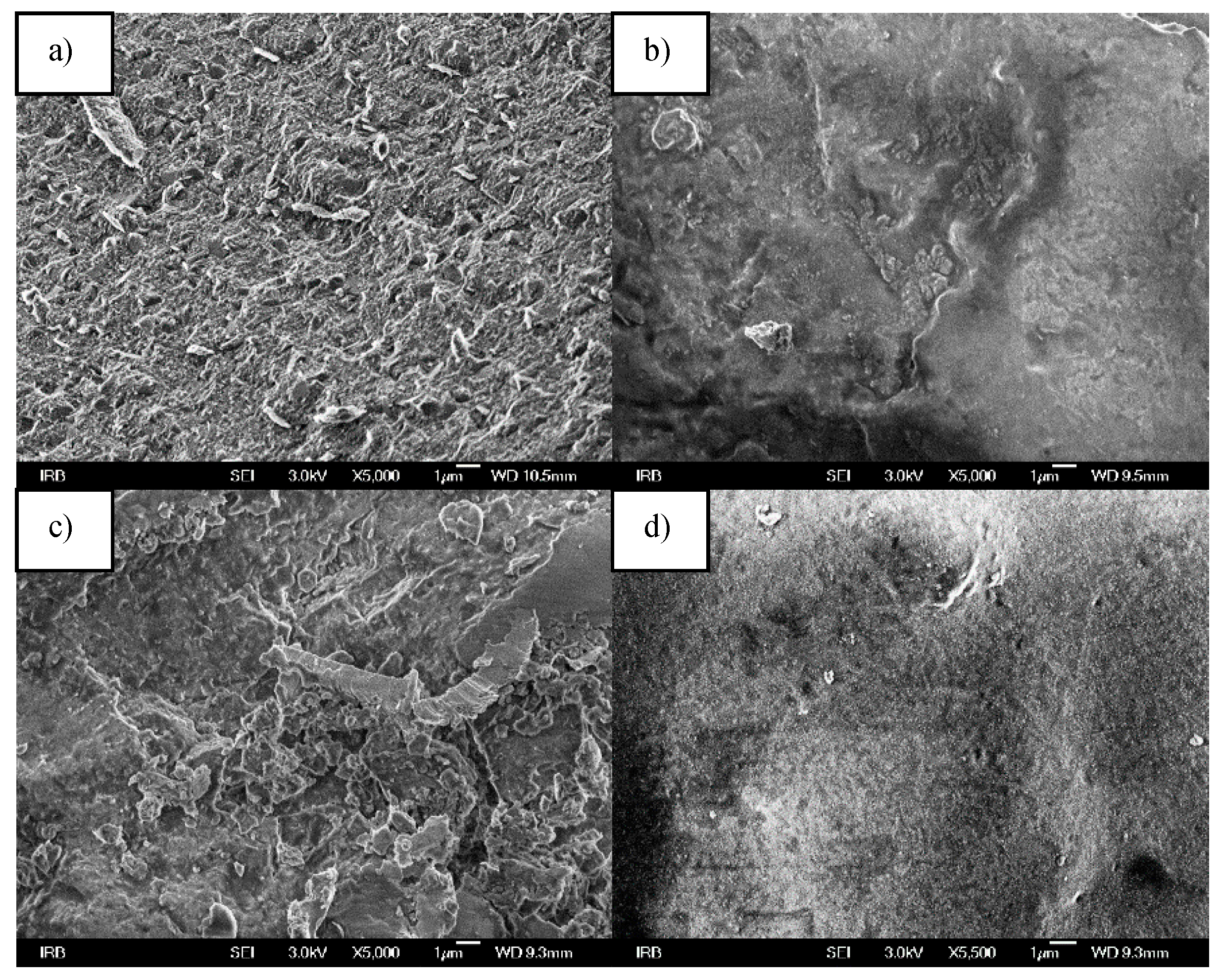 Surface Characterization and Conductivity of Two Types of Surface Characterization and Conductivity of Two Types of